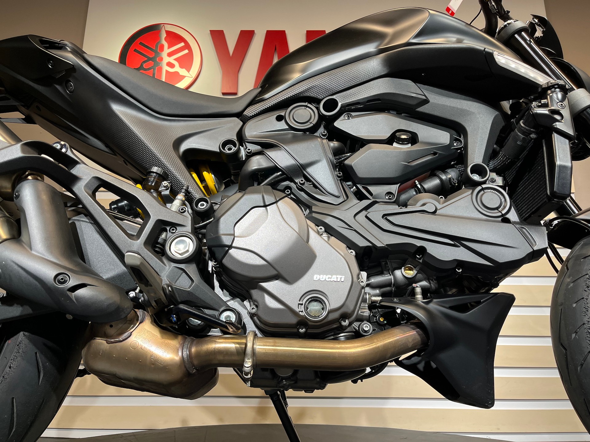 DUCATI Monster +-image-10