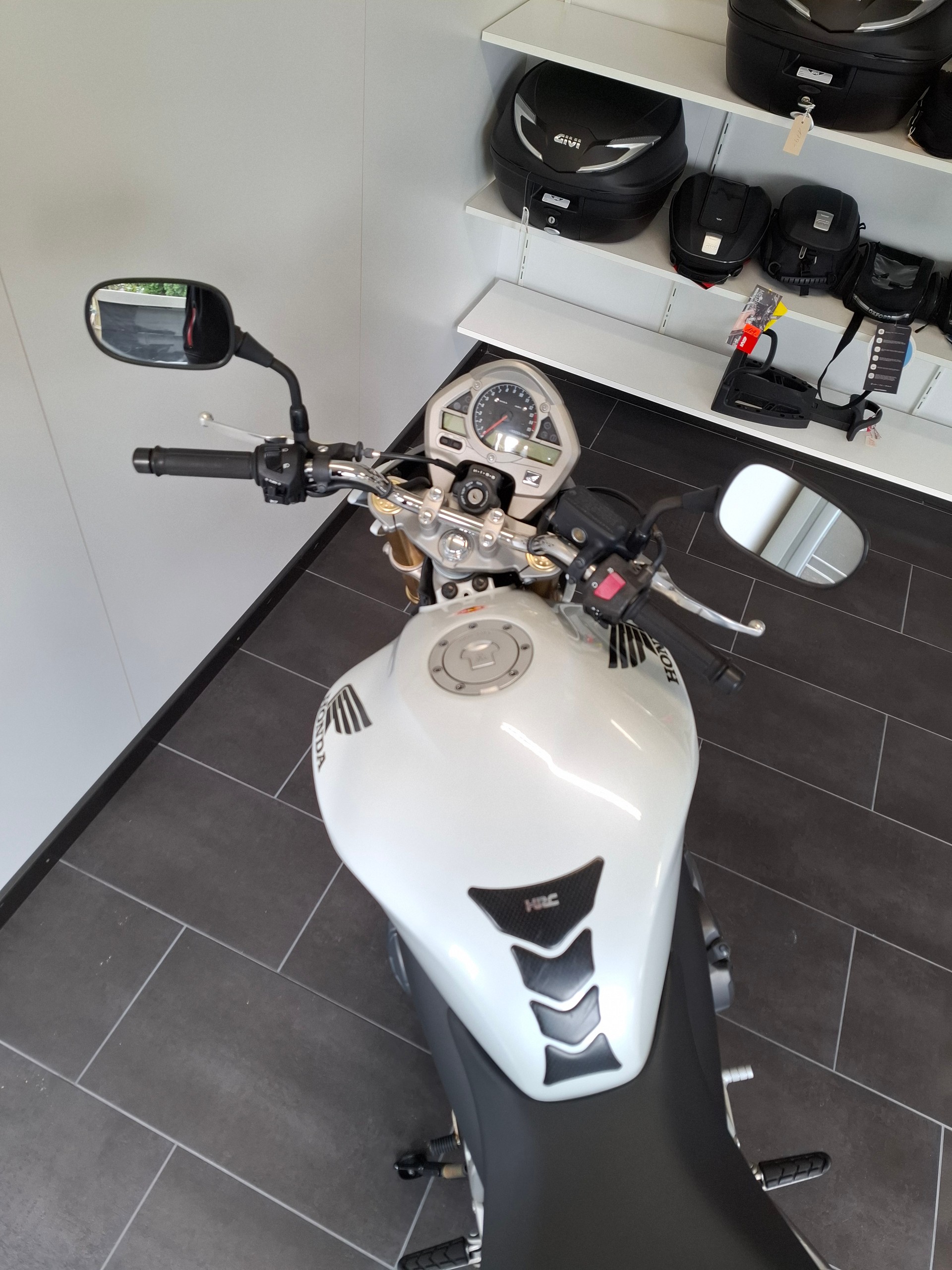HONDA CB 600 F ABS Hornet-image-11