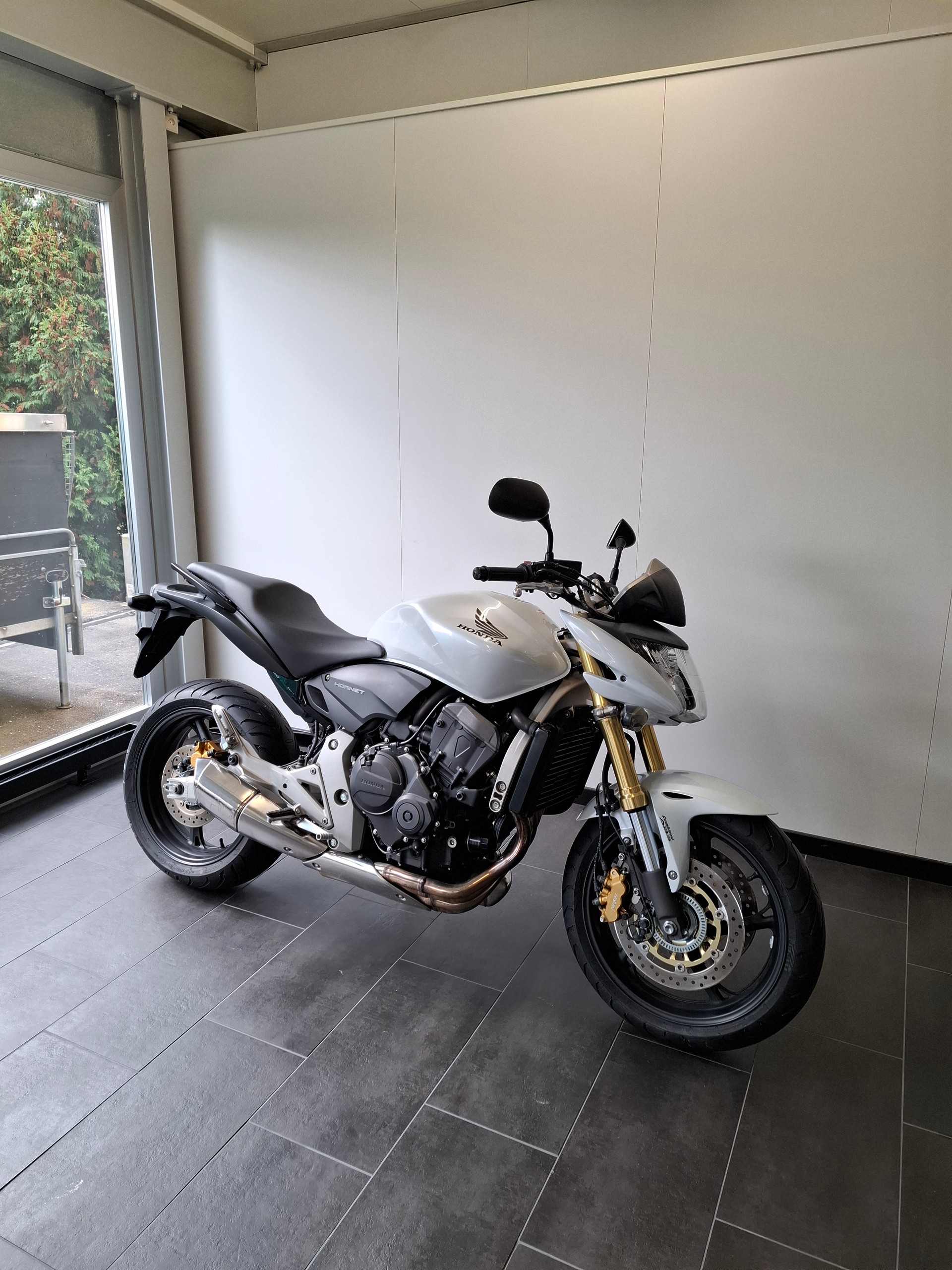HONDA CB 600 F ABS Hornet-image-5