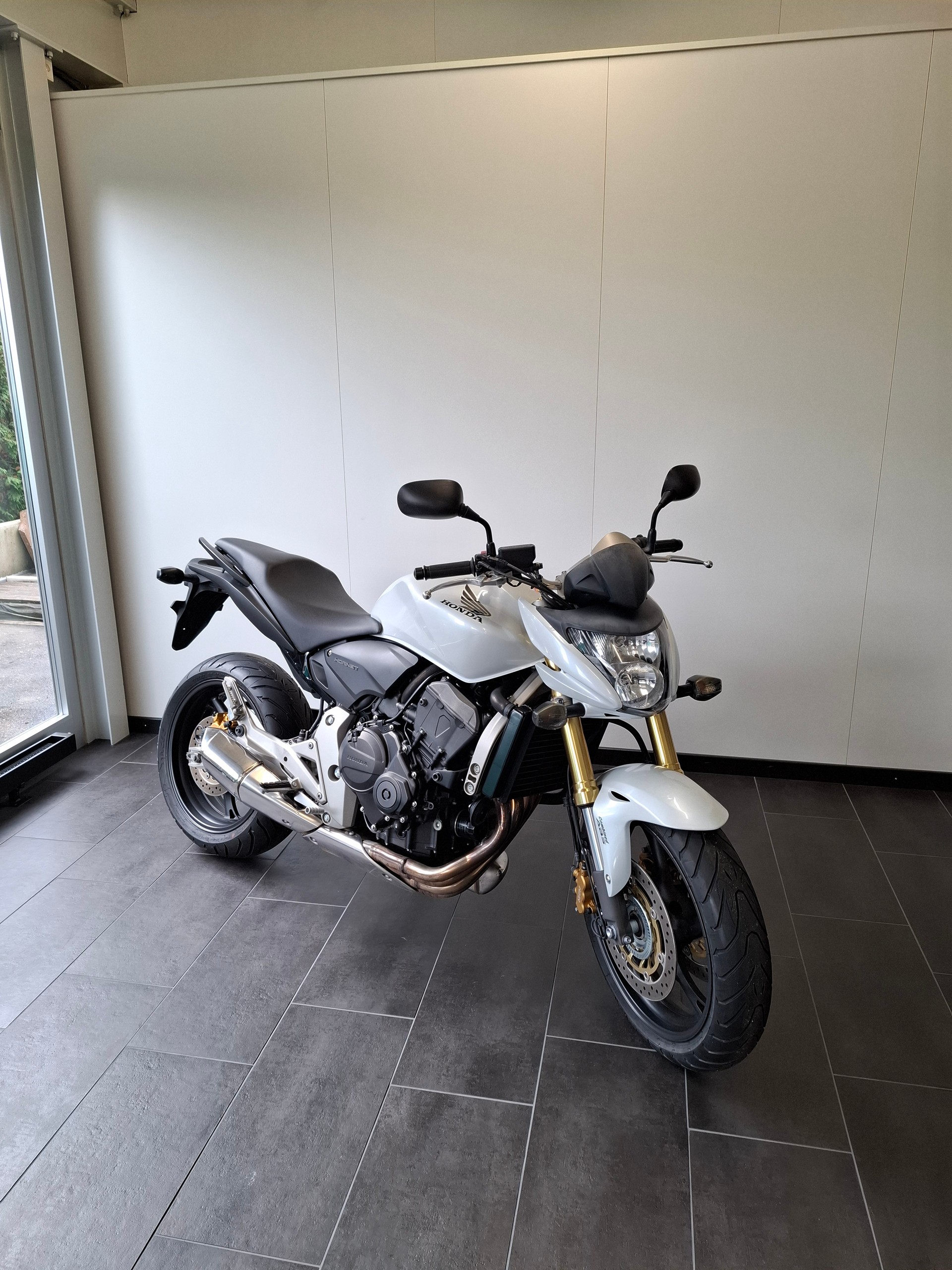 HONDA CB 600 F ABS Hornet-image-1