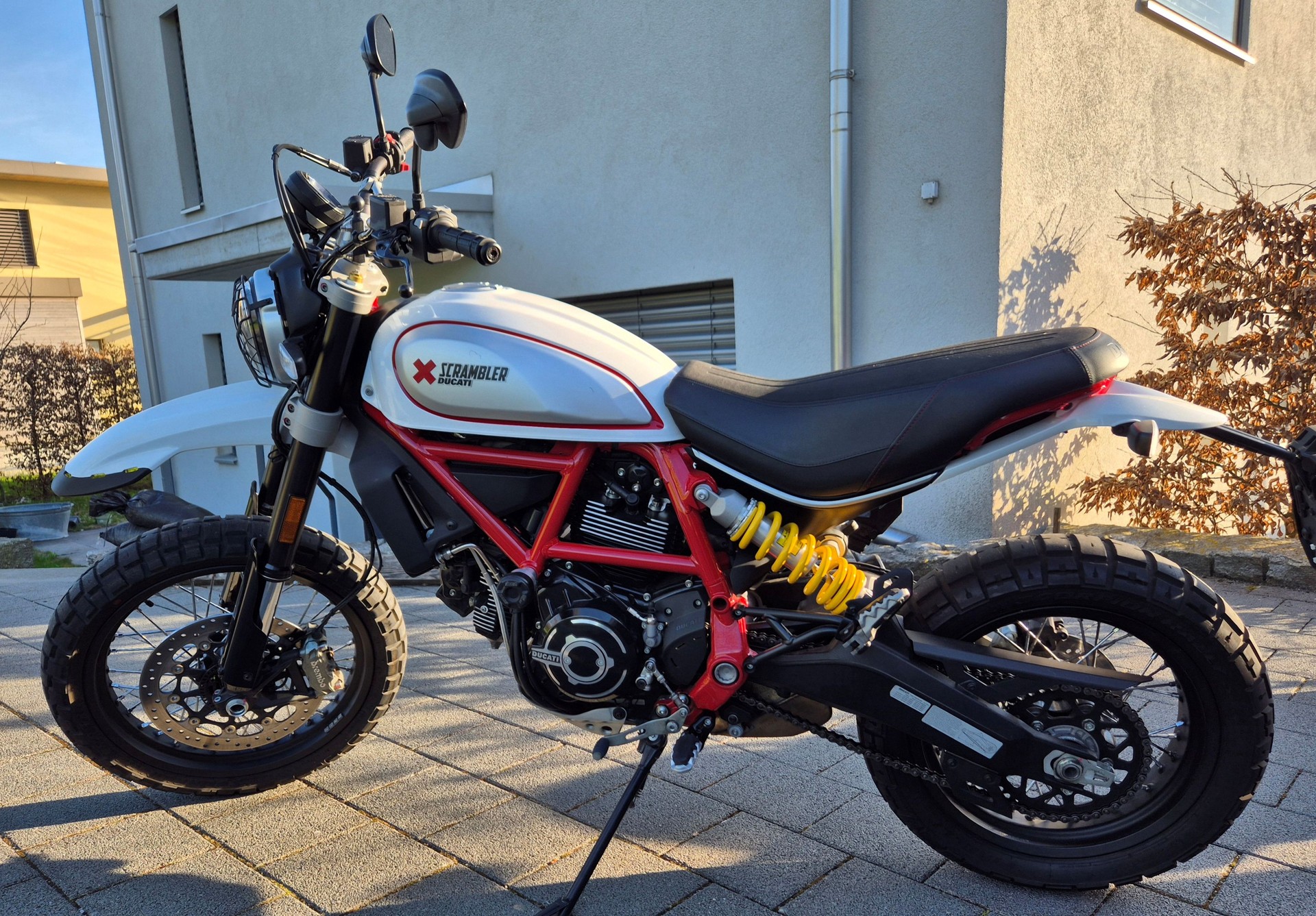 DUCATI Scrambler 800 Desert Sled-image-1