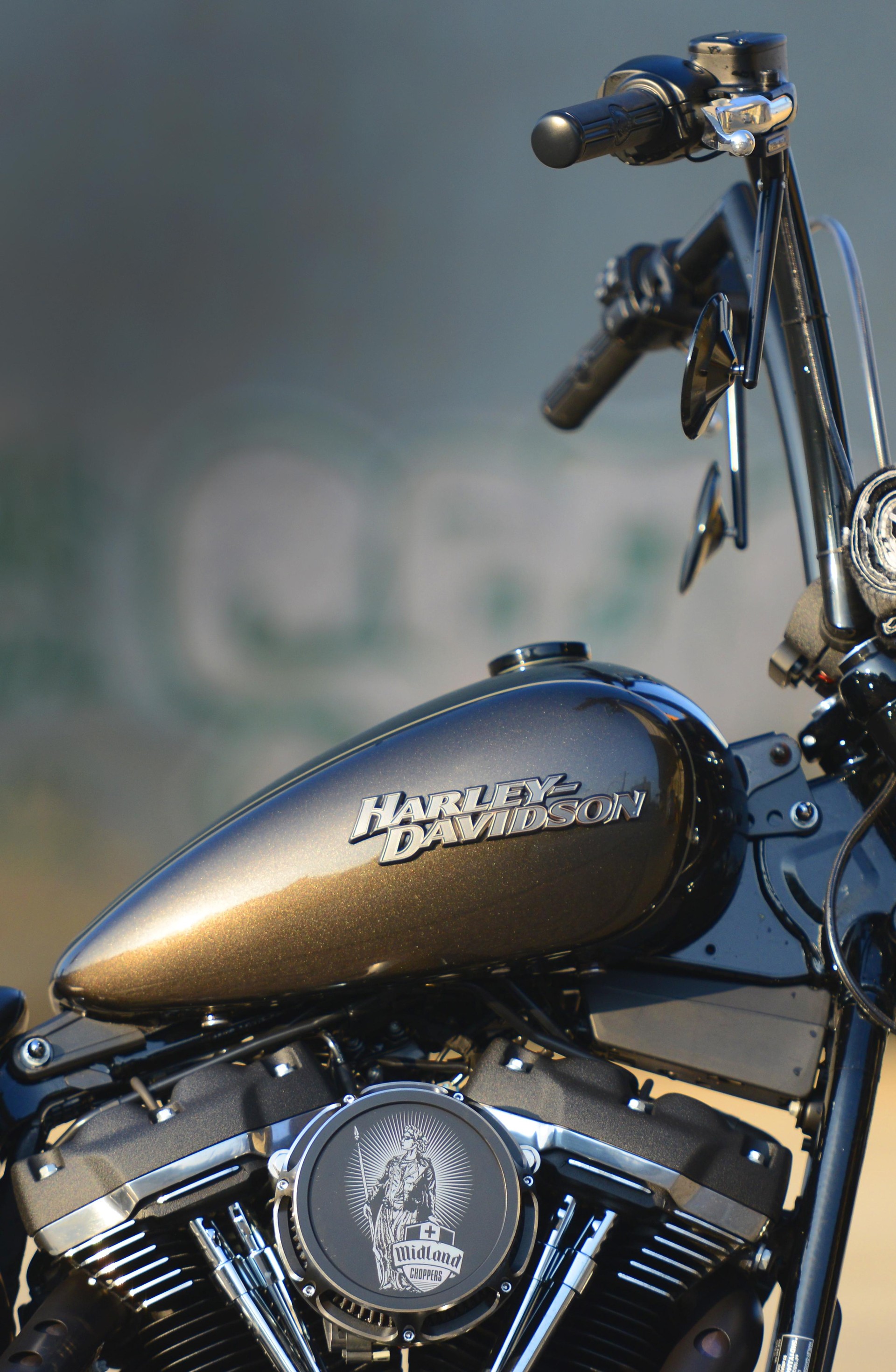 HARLEY-DAVIDSON FXBB Street Bob 107 ABS-image-5