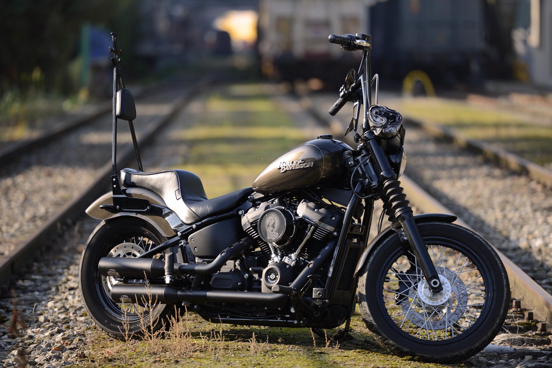 HARLEY-DAVIDSON FXBB Street Bob 107 ABS-image-1