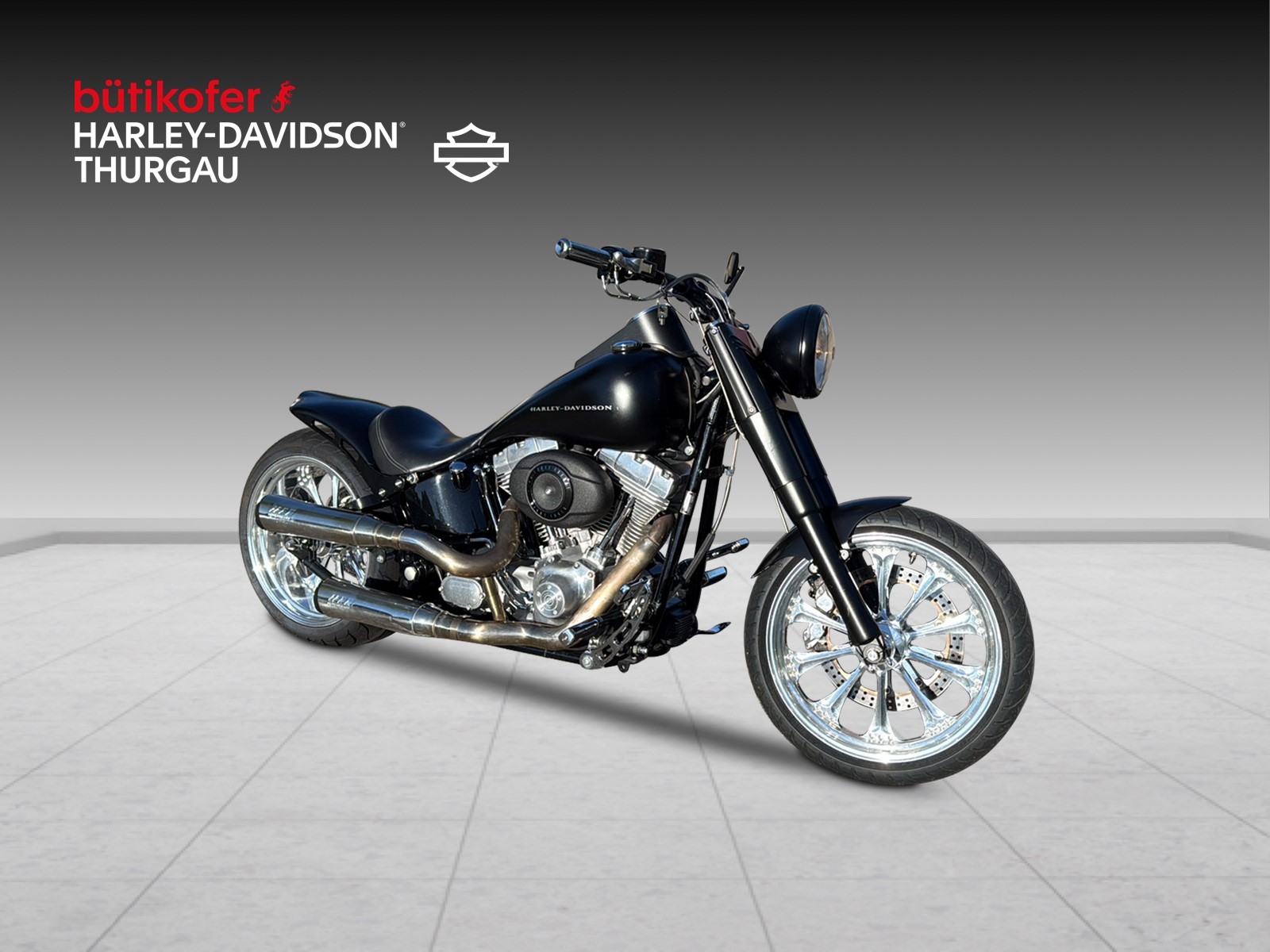 HARLEY-DAVIDSON FLSTI Softail Heritage-image-0