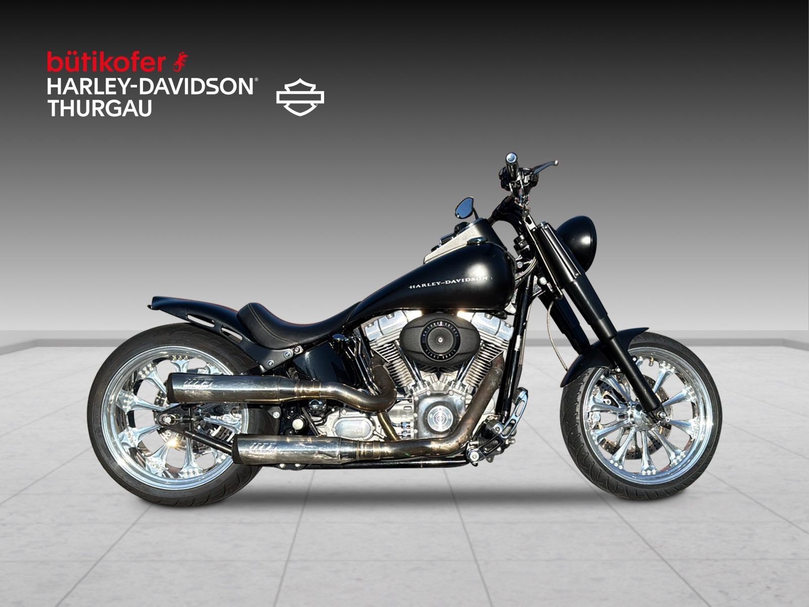 HARLEY-DAVIDSON FLSTI Softail Heritage-image-1
