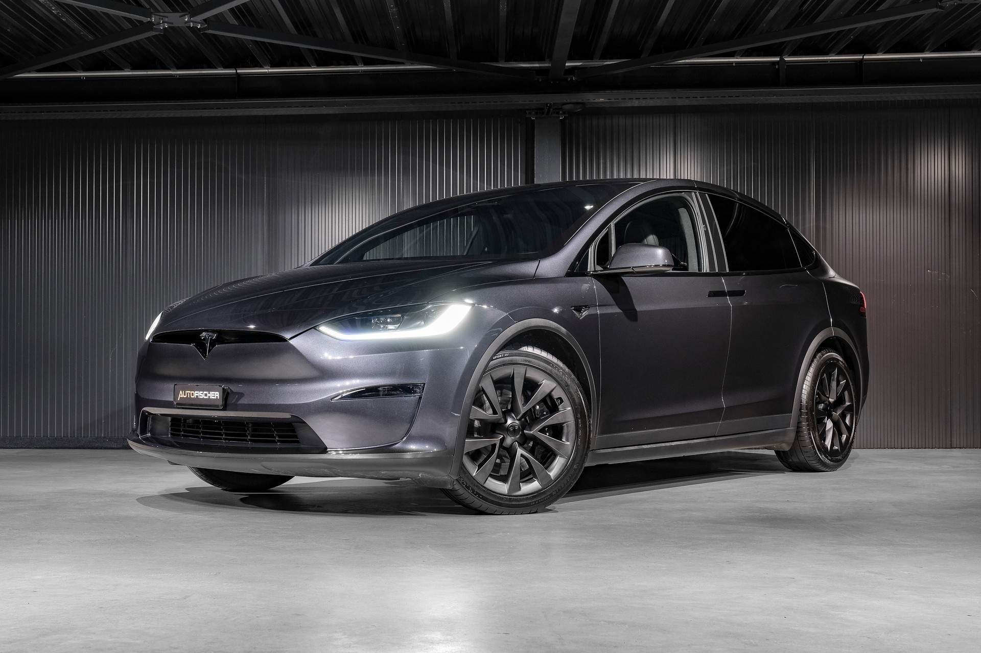 TESLA Model X 100kWh Palladium