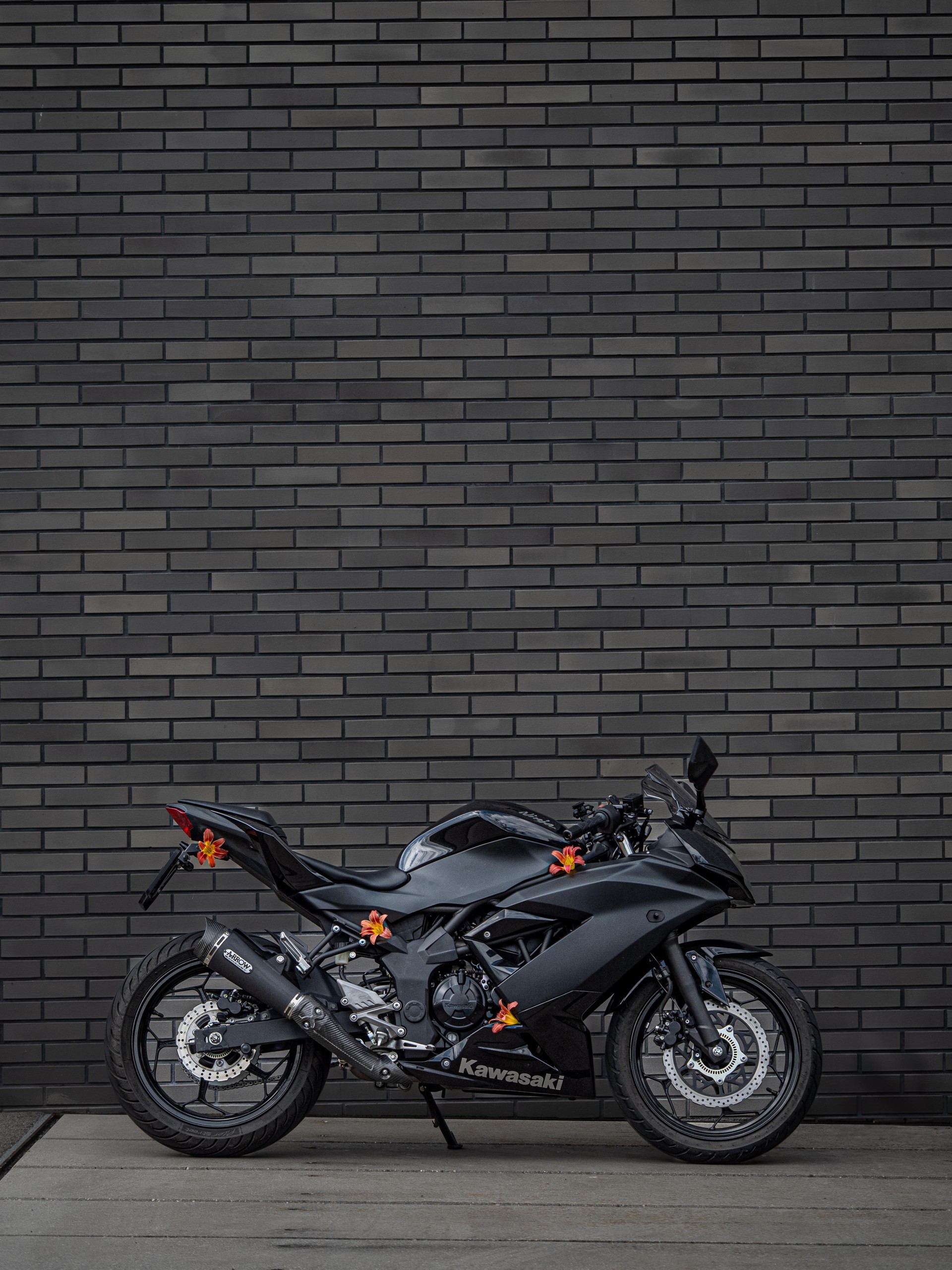 KAWASAKI Ninja 125 ABS All Black Edition-image-2