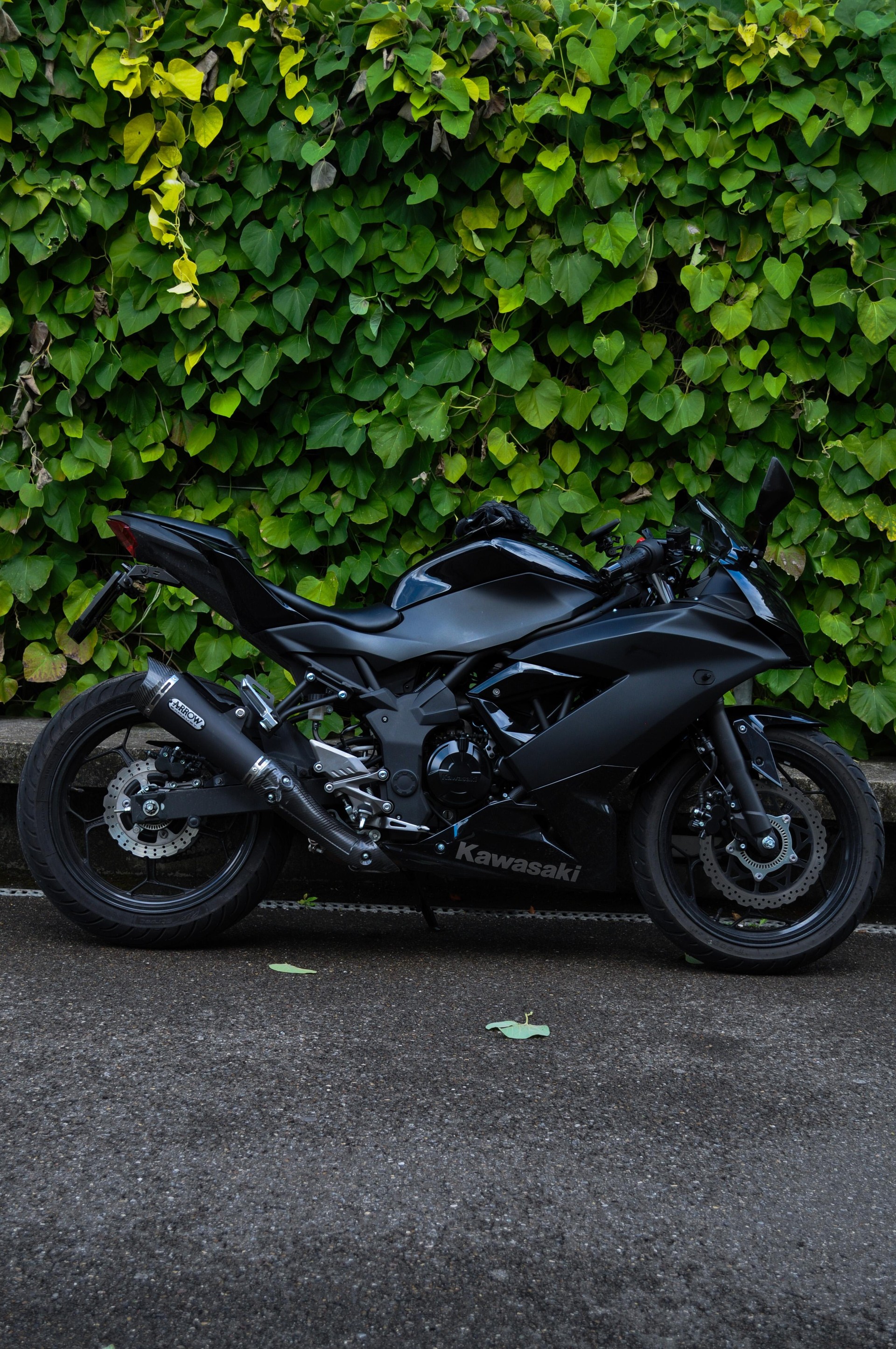 KAWASAKI Ninja 125 ABS All Black Edition-image-0