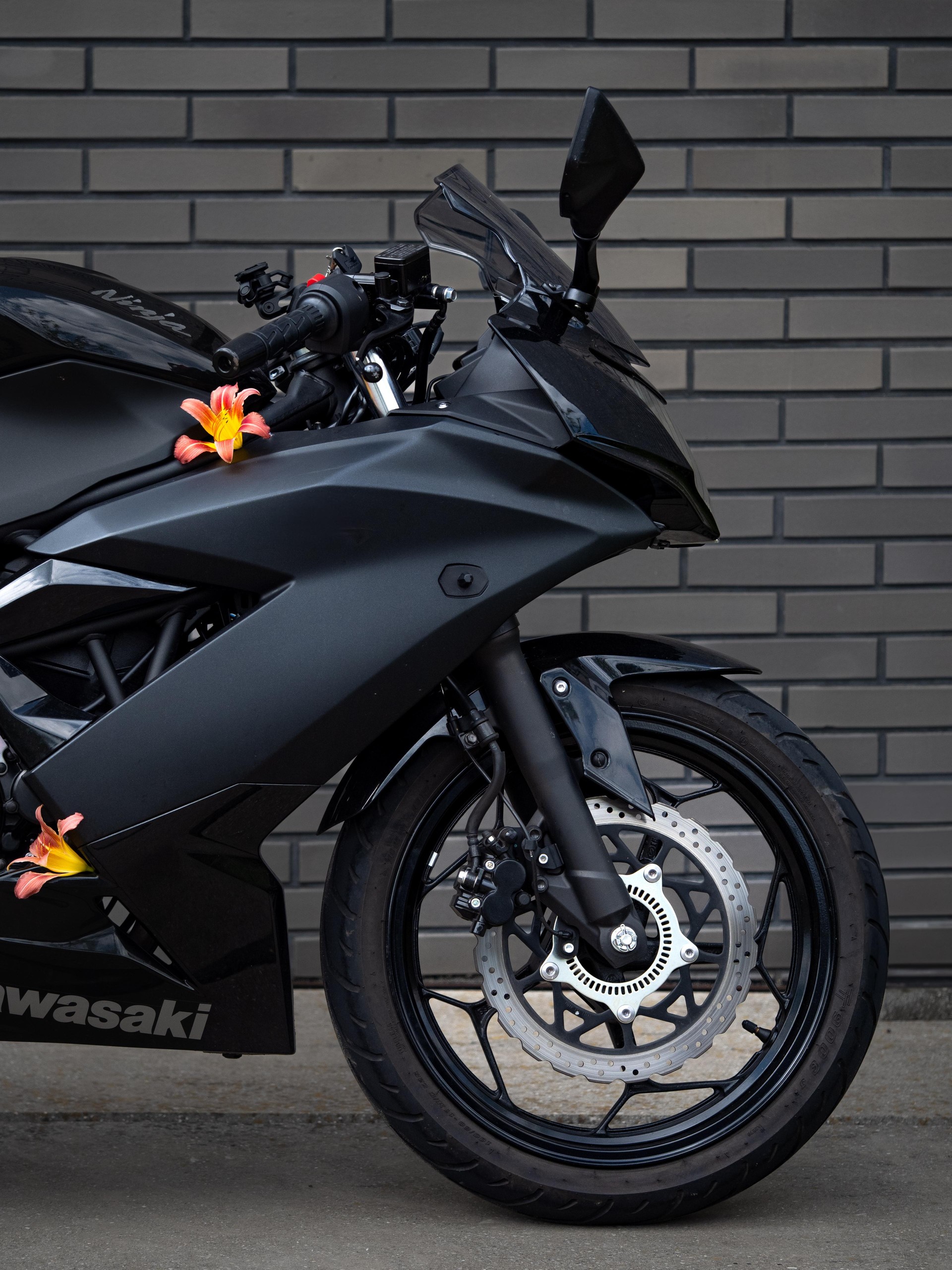 KAWASAKI Ninja 125 ABS All Black Edition-image-4