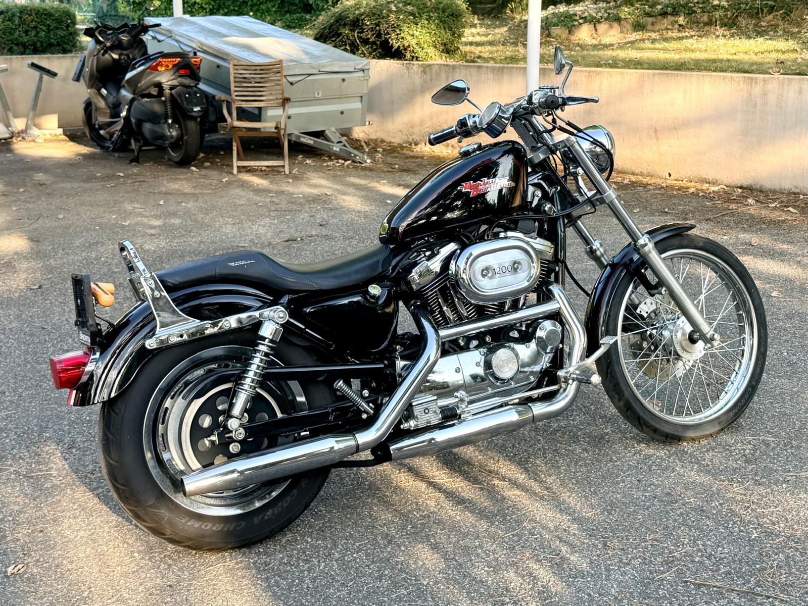 HARLEY-DAVIDSON XL 1200 C Sportster-image-2