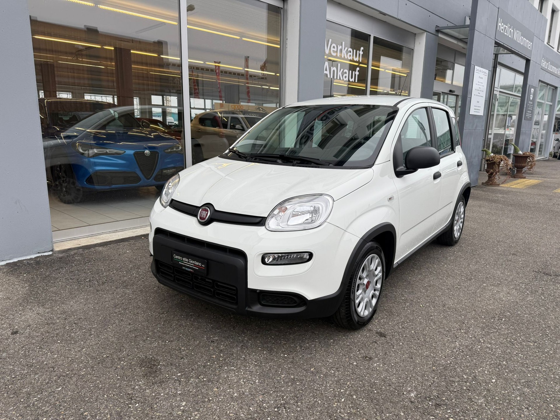 FIAT Panda 1.0 MHEV Cult-showroom-element-3
