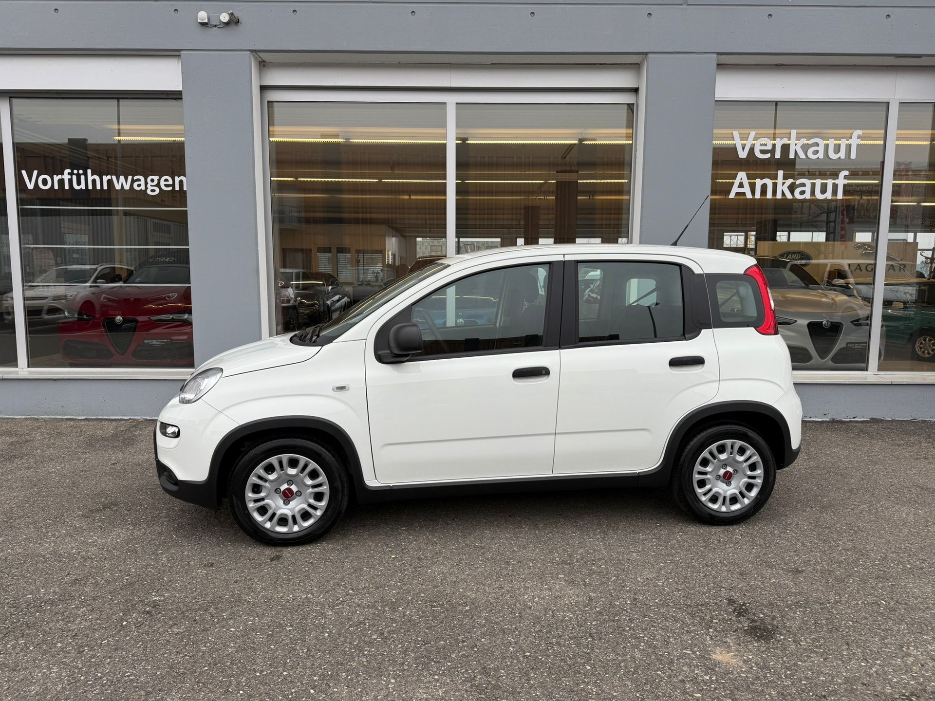 FIAT Panda 1.0 MHEV Cult-image-4