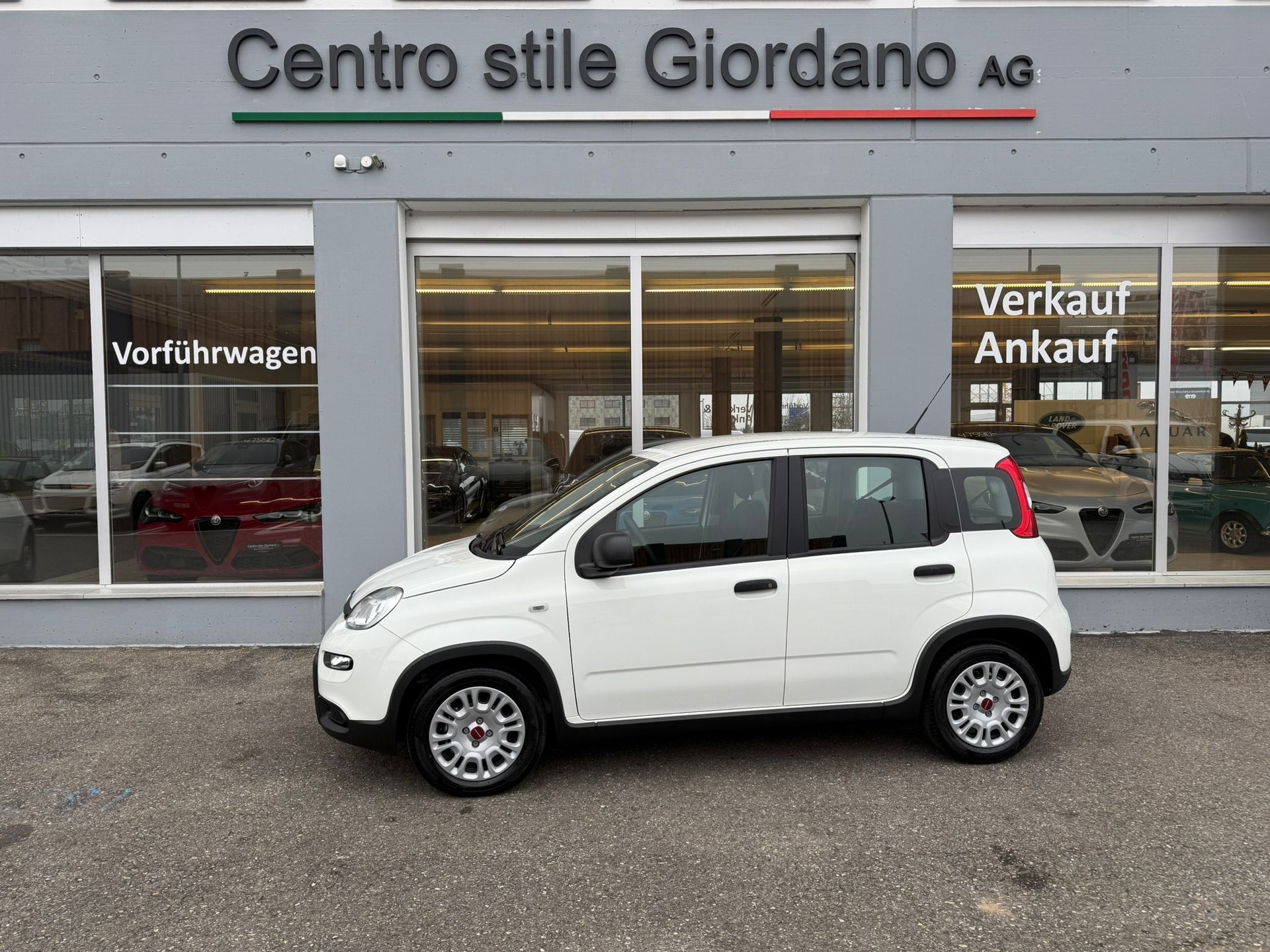 FIAT Panda 1.0 MHEV Cult-showroom-element-1