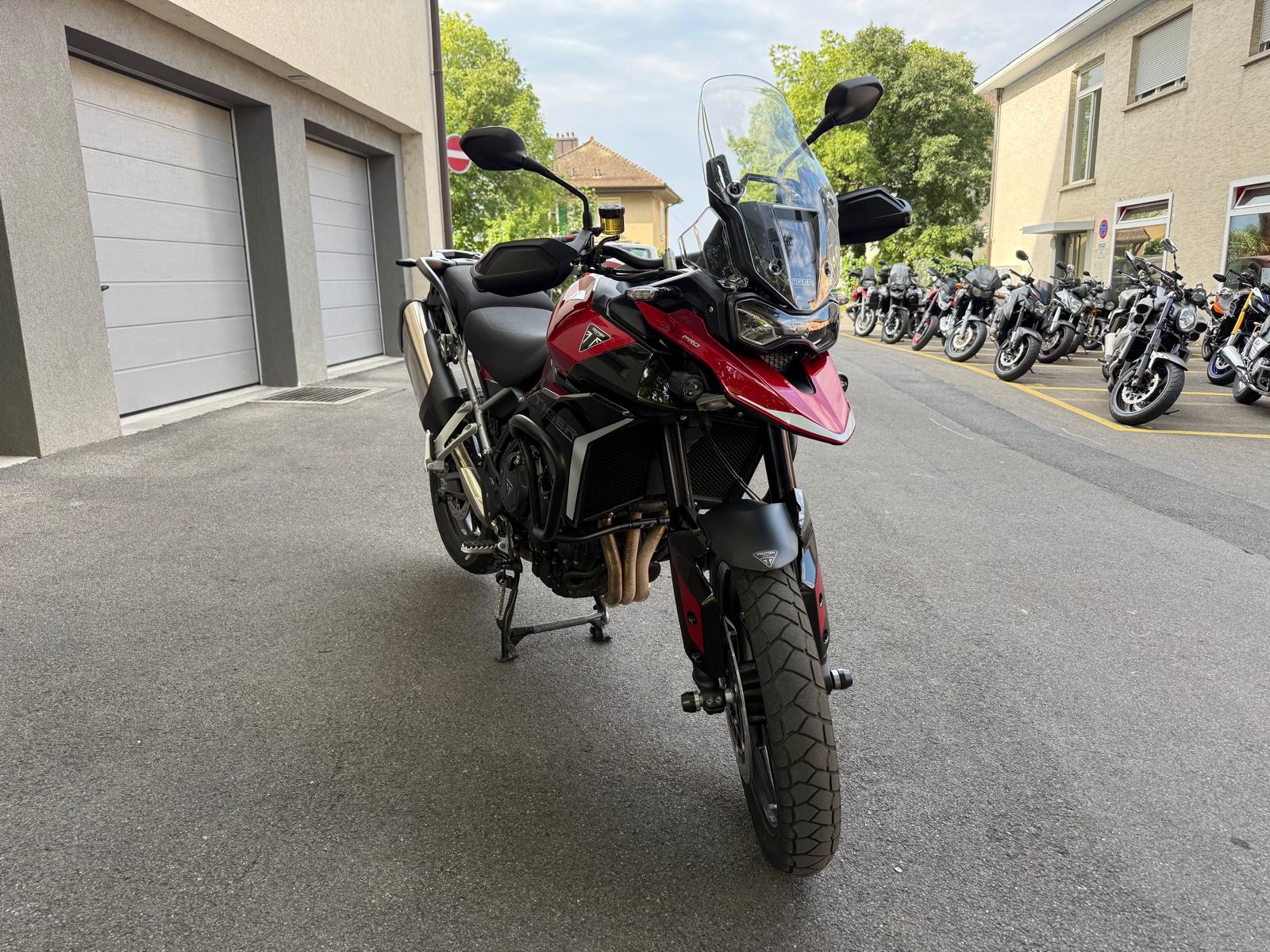 TRIUMPH Tiger 900 GT Pro-image-1