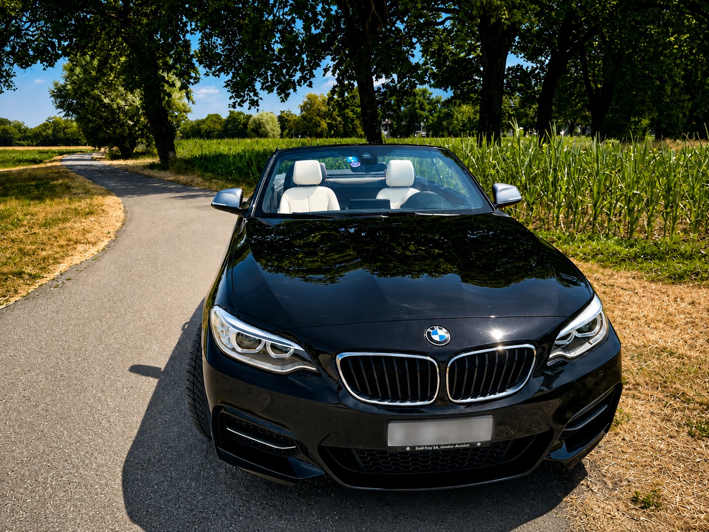 BMW M235i xDrive-image-3