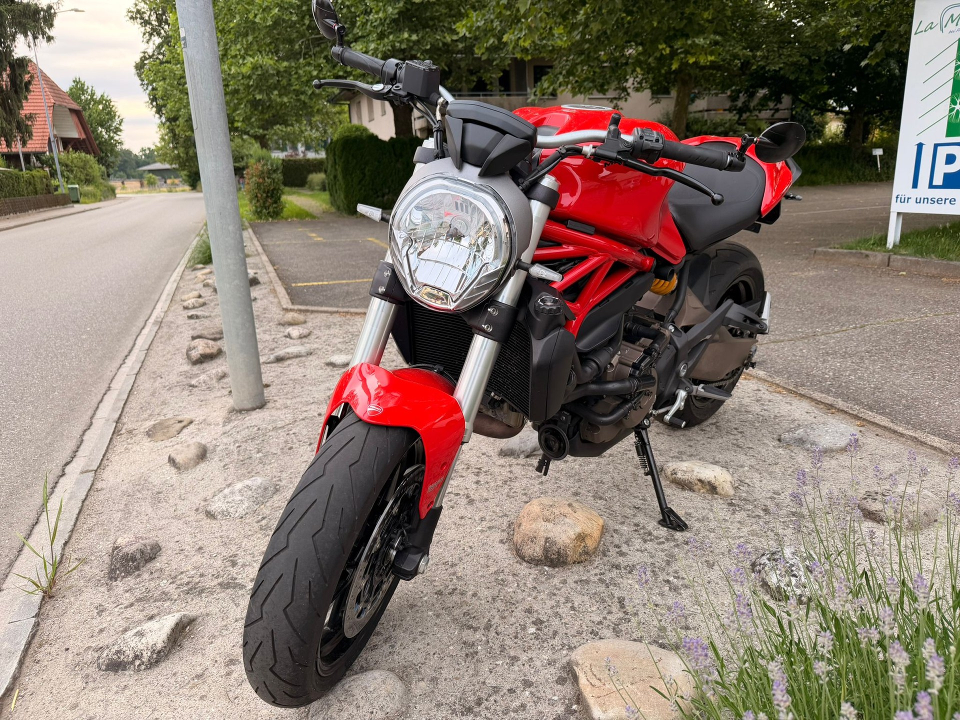 DUCATI Monster 821-image-2