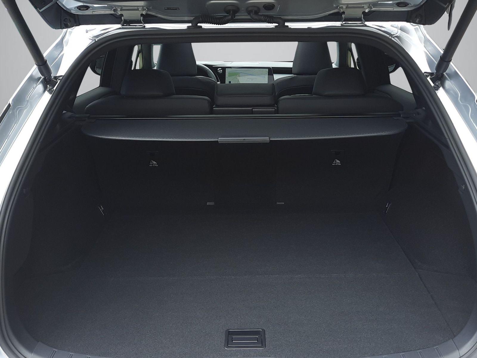 LEXUS RX 450h+ Comfort-image-11