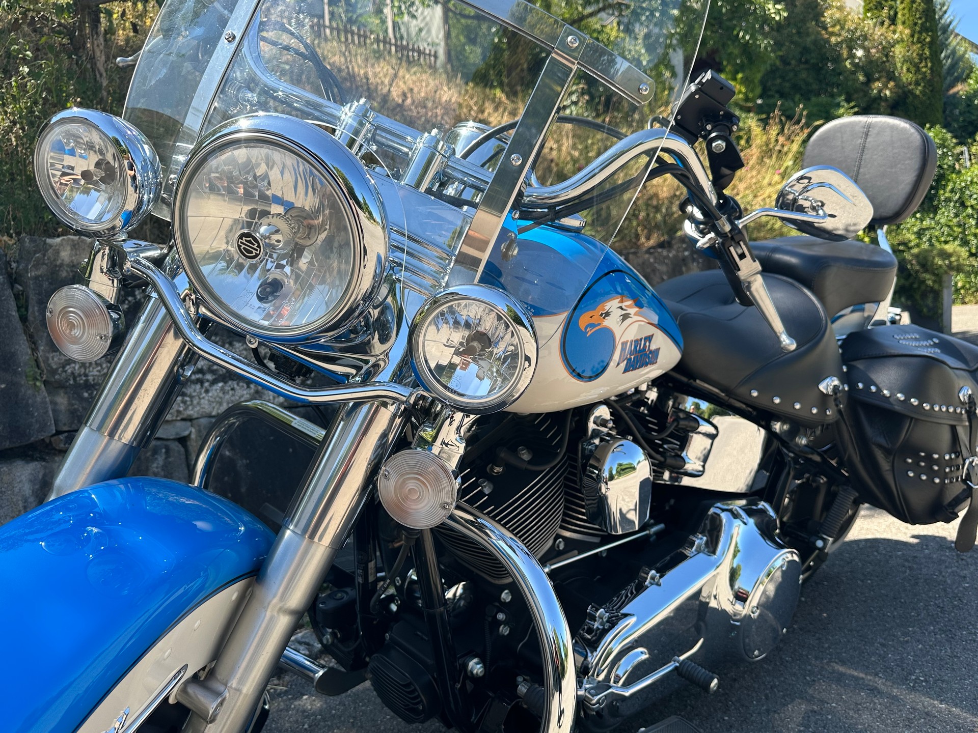 HARLEY-DAVIDSON FLSTCI Softail Classic-image-6