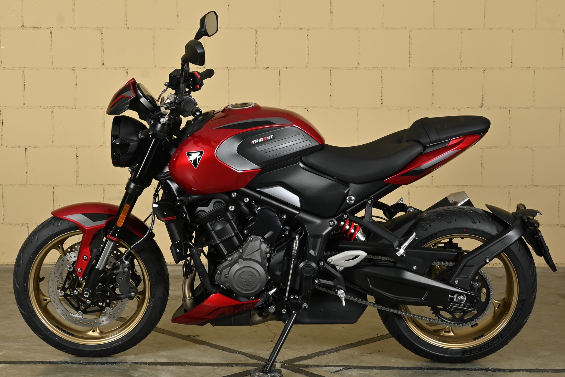 TRIUMPH 800-image-3