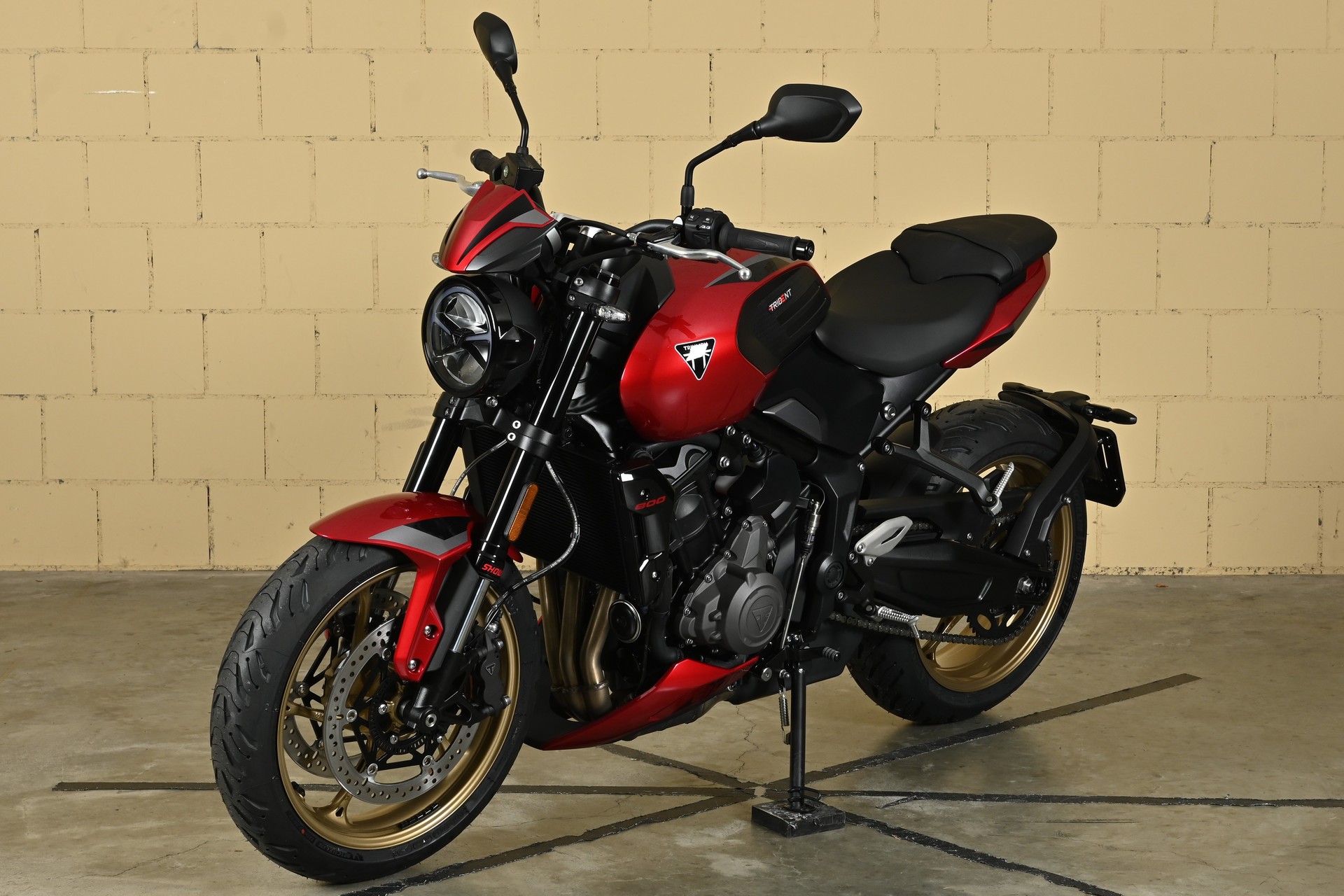 TRIUMPH 800-image-2