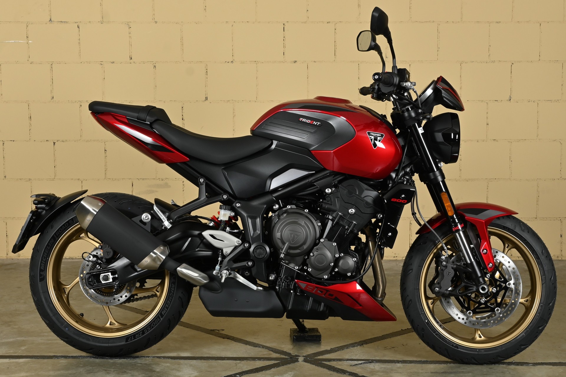 TRIUMPH 800-image-6