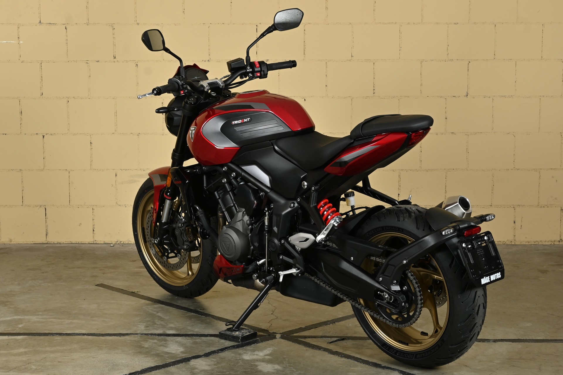 TRIUMPH 800-image-10