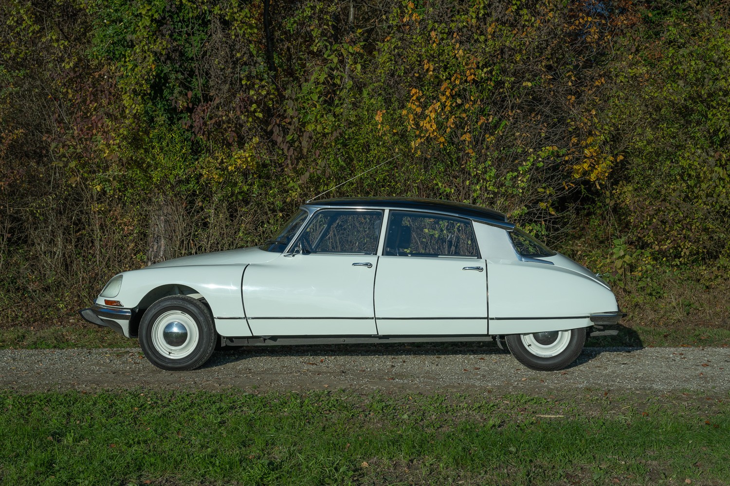 CITROEN ID 19B-image-1