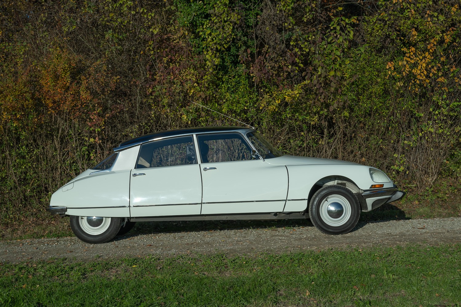 CITROEN ID 19B-image-3