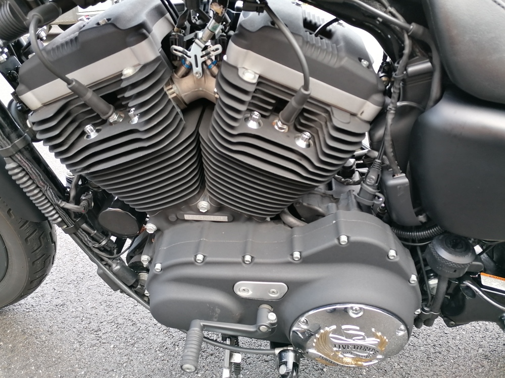 HARLEY-DAVIDSON XL 883 N Sportster Iron-image-8