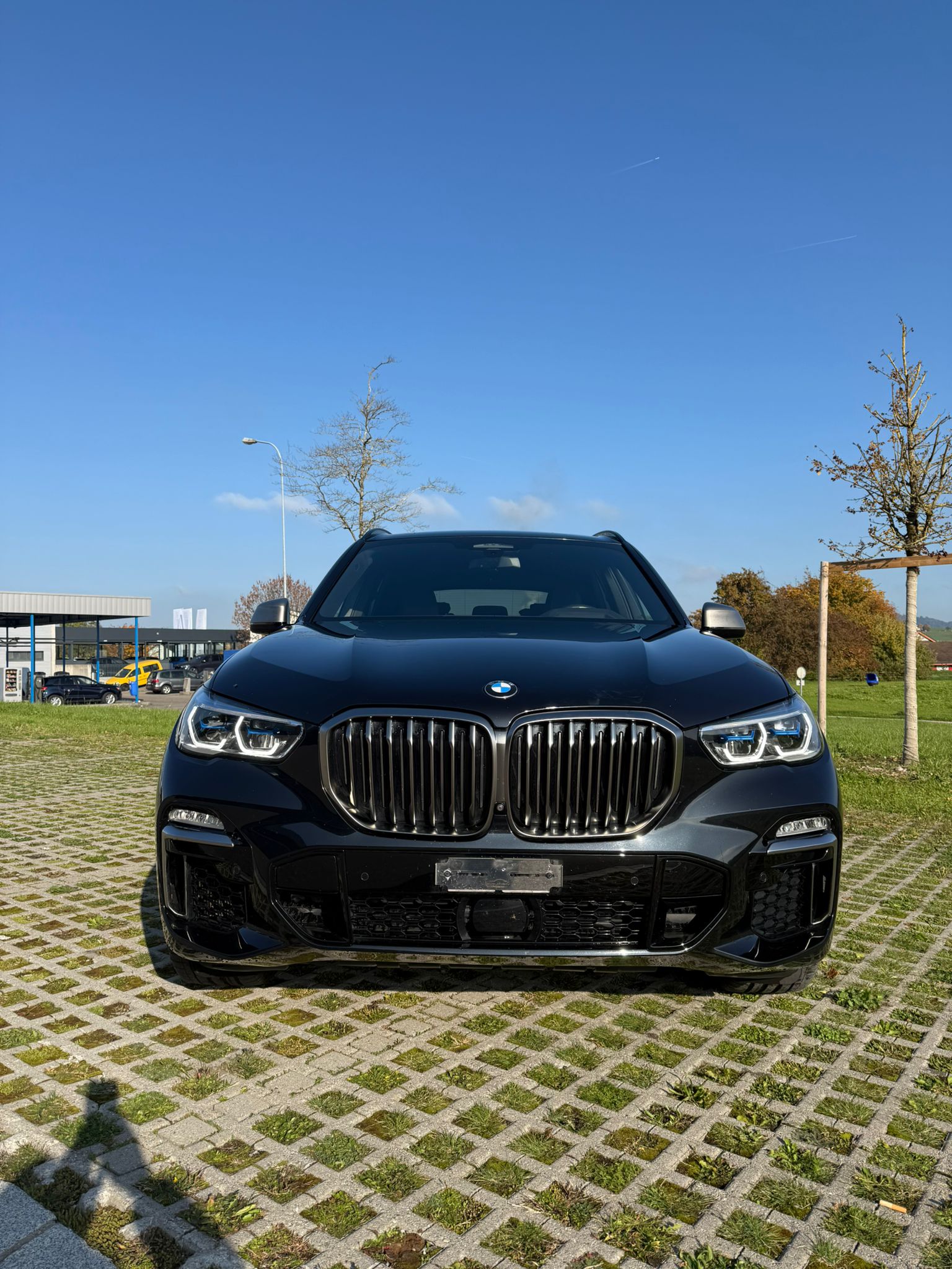 BMW X5 xDrive M50d Steptronic-showroom-element-2