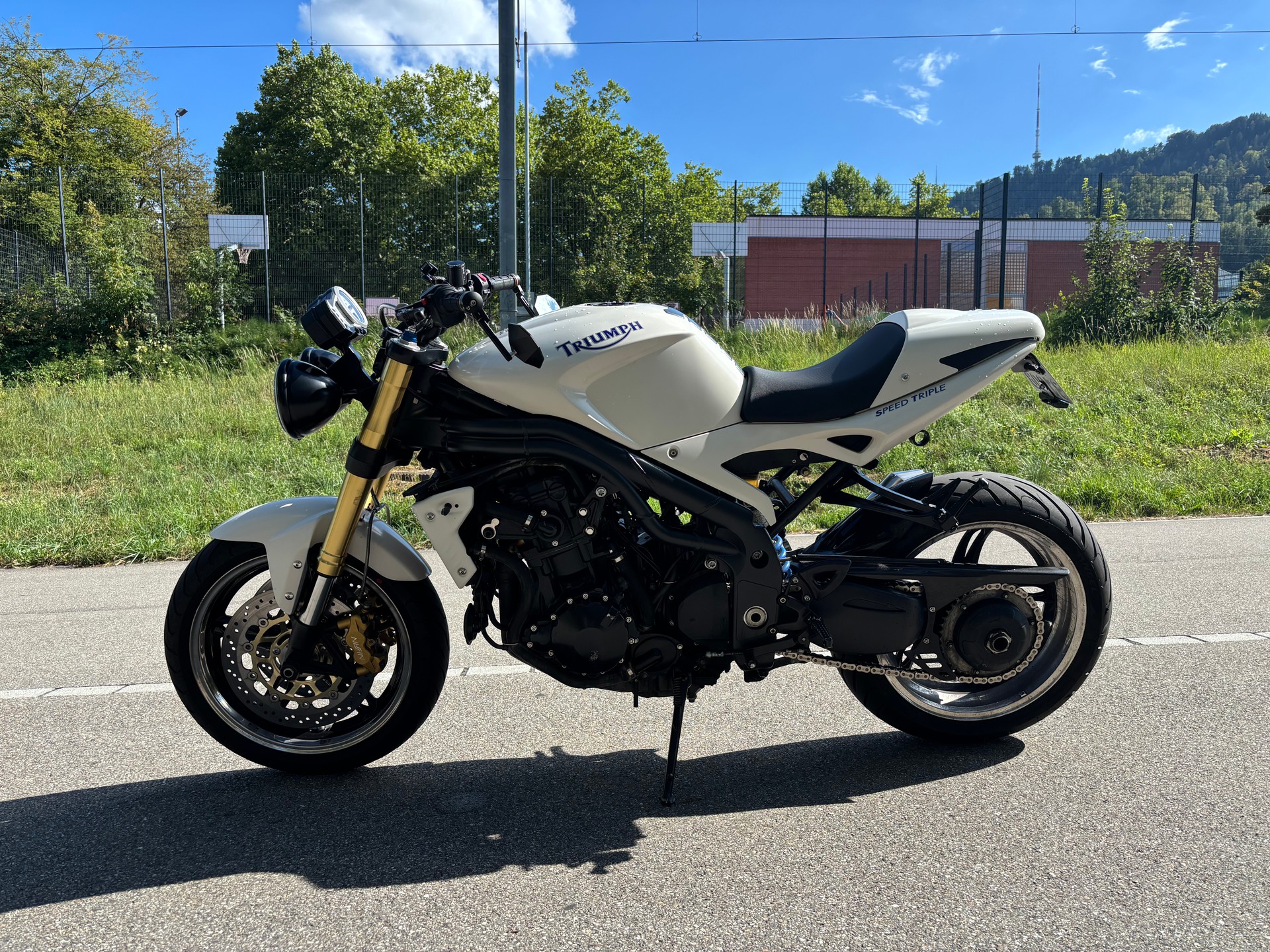 TRIUMPH Speed Triple 1050-image-3