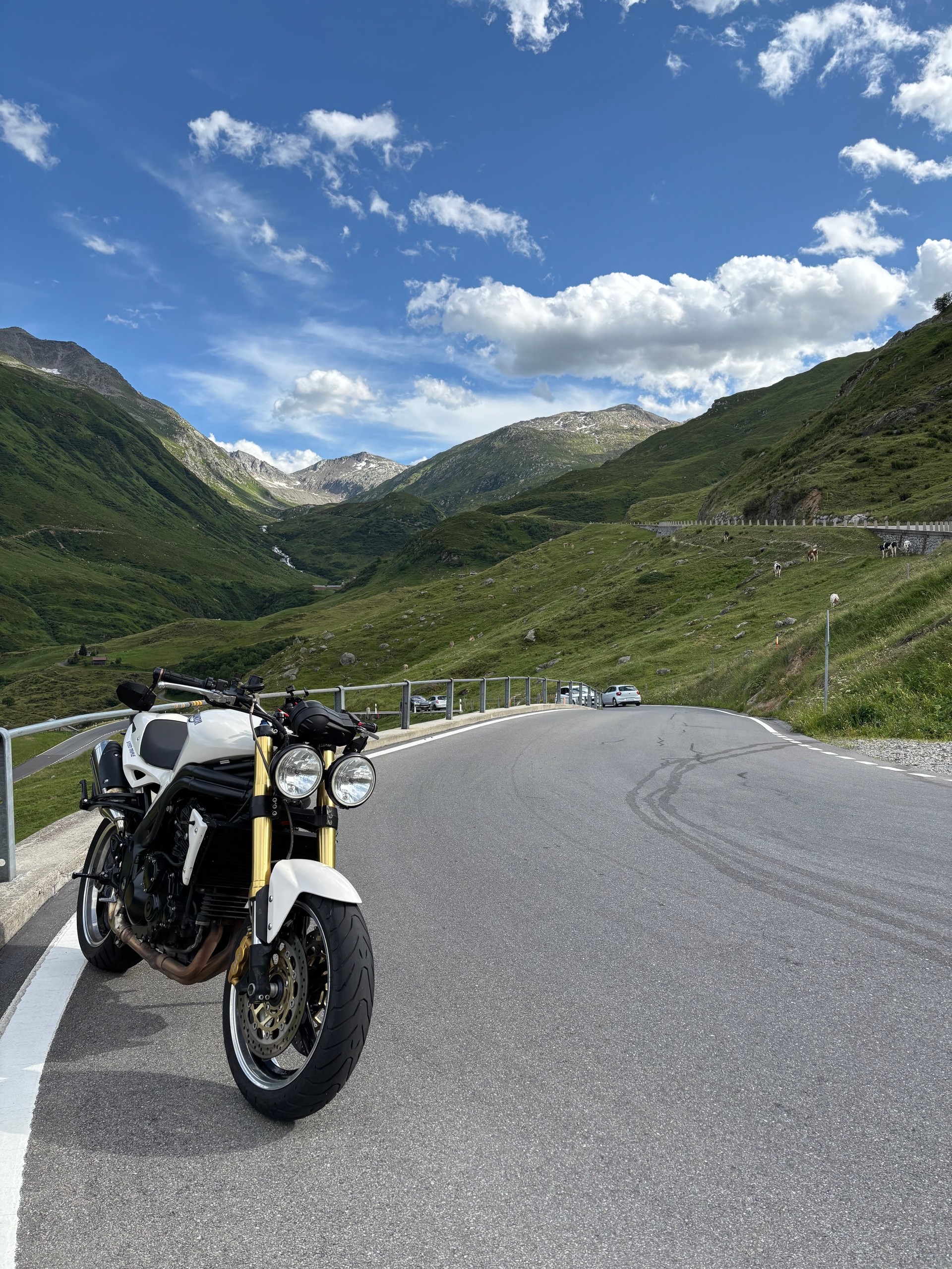 TRIUMPH Speed Triple 1050-image-0
