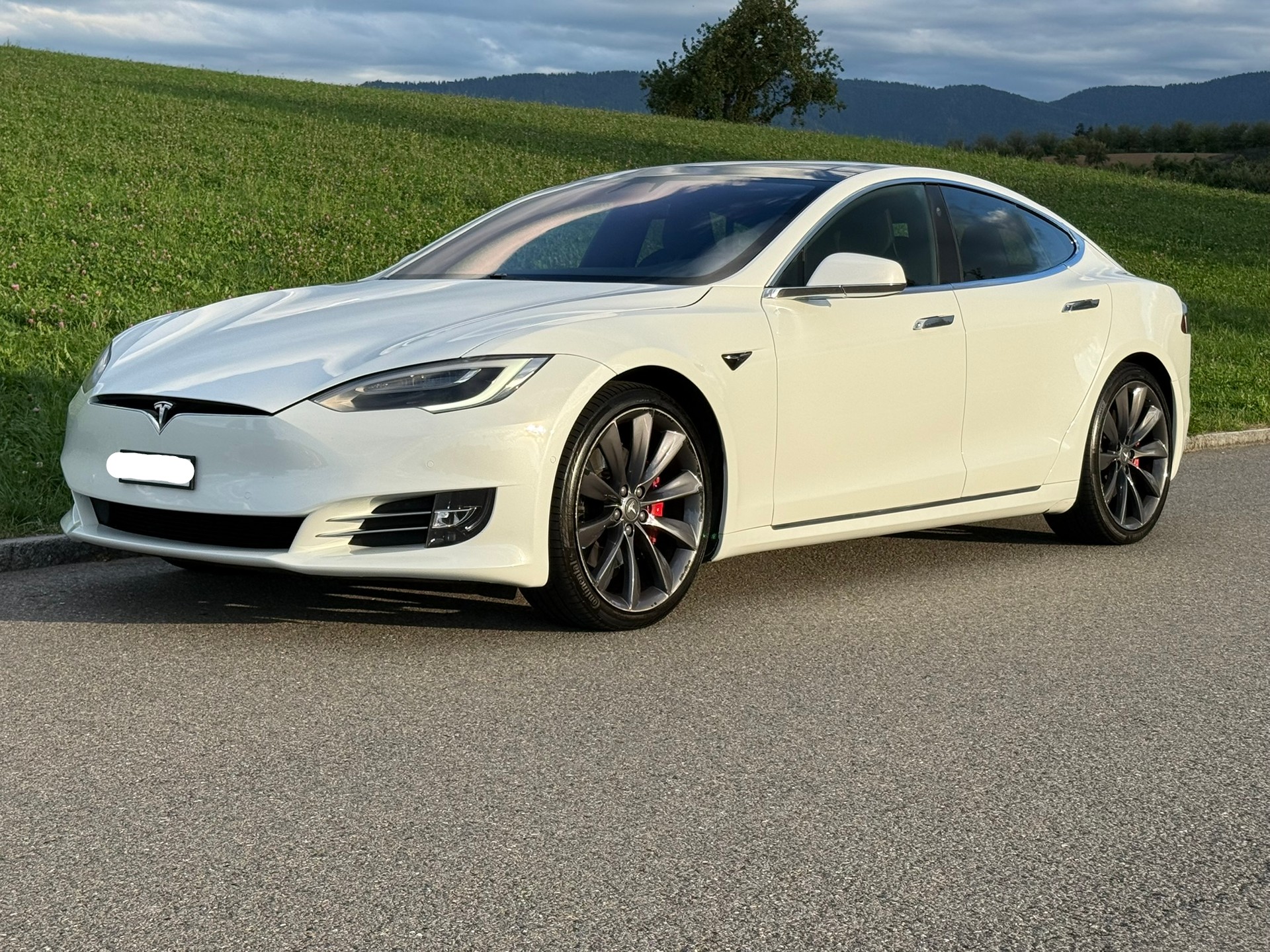 TESLA P100D Lebenslang Gratis Superchargen