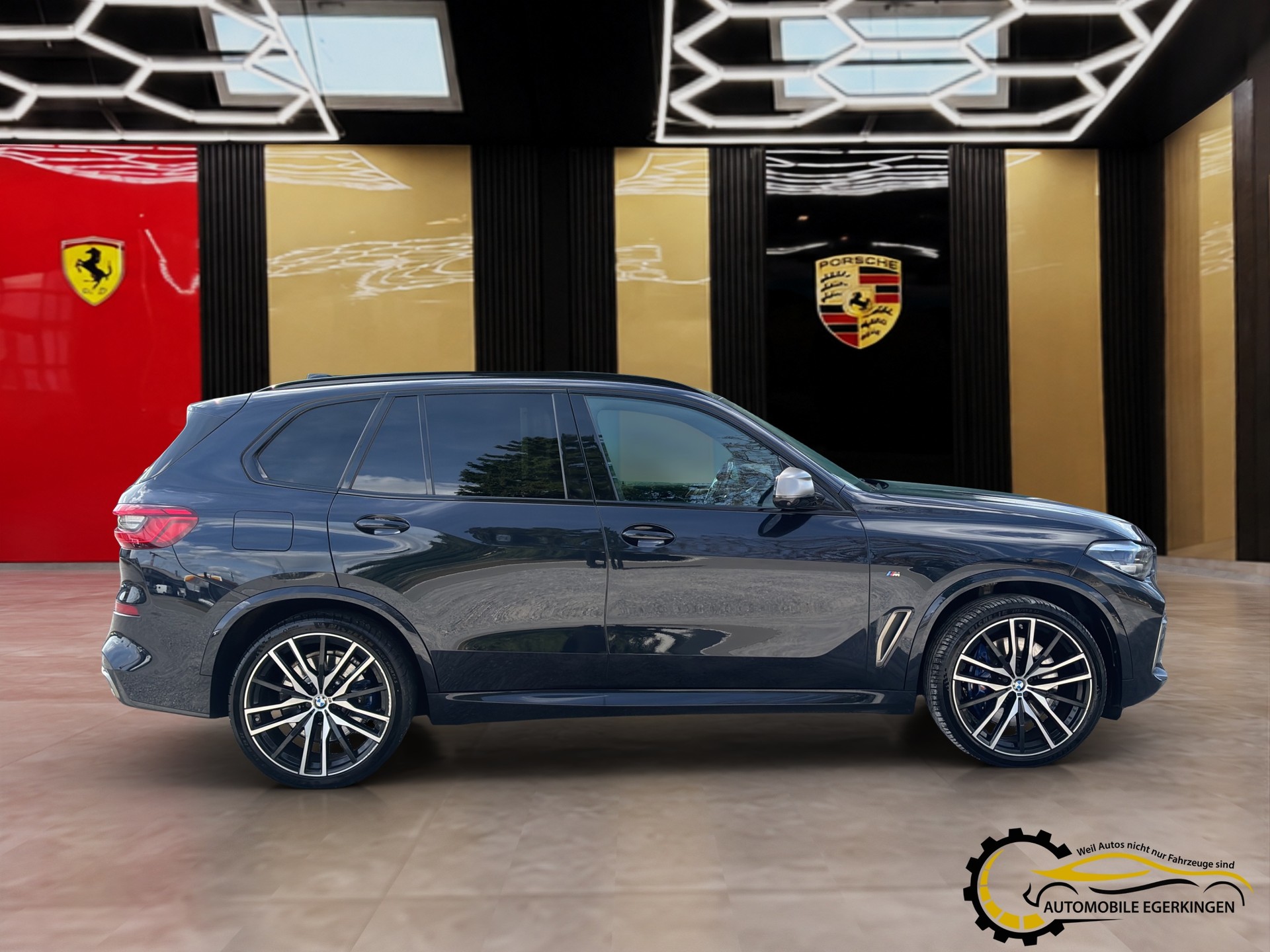 BMW X5 xDrive M50d Steptronic-showroom-element-3