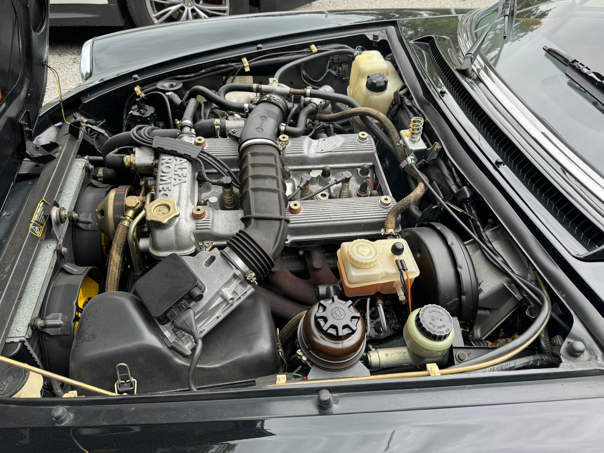 ALFA ROMEO Spider 2.0-image-4
