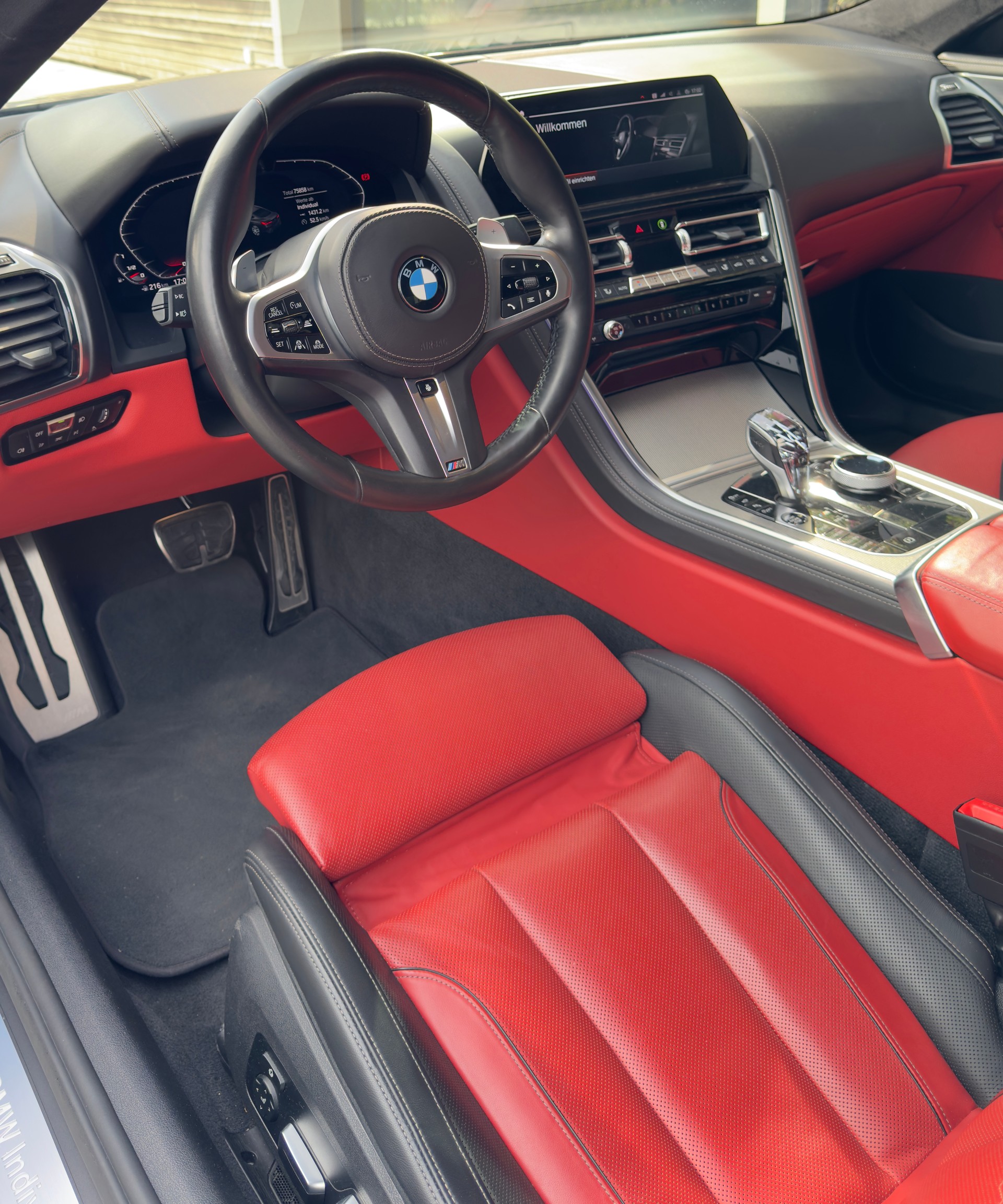 BMW M850i xDrive-image-4