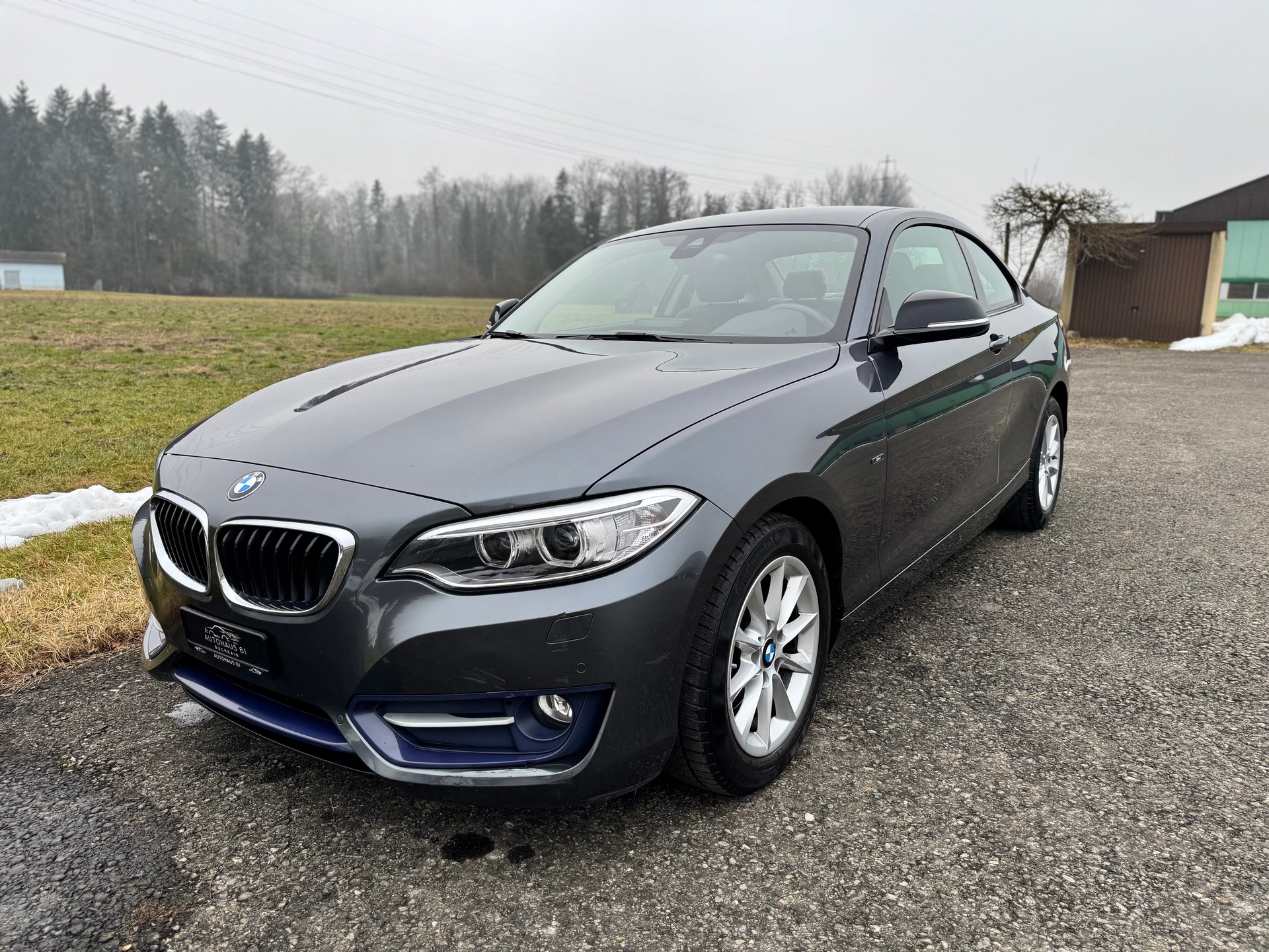 BMW 220i Sport Line Steptronic / ab MFK 02.2026-showroom-element-2