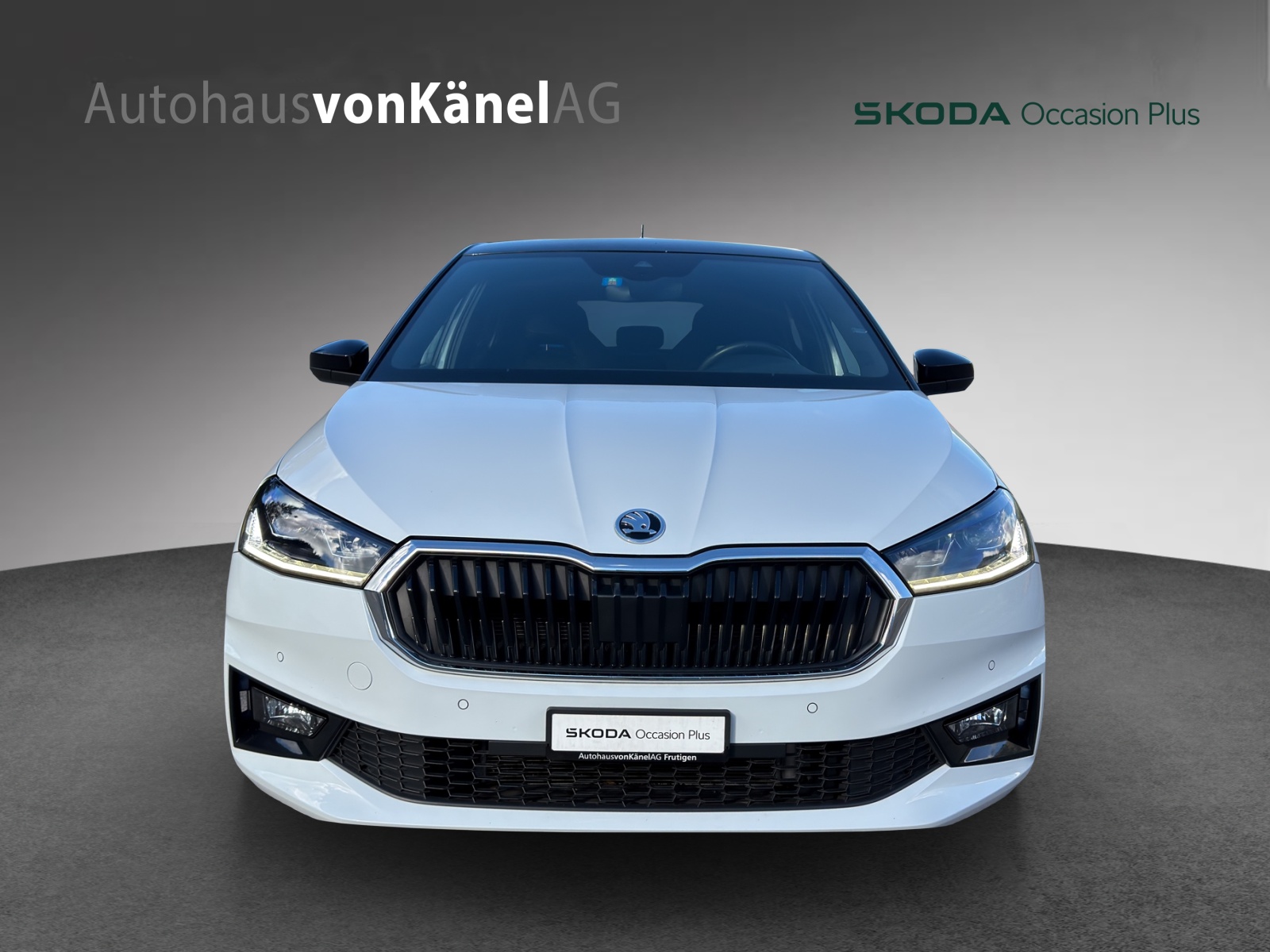 SKODA Fabia 1.5 TSI Style DSG-showroom-element-3