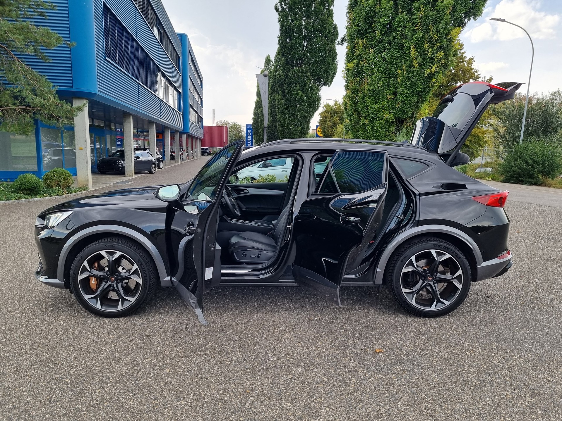 CUPRA Formentor 2.0TSI VZ 4Drive DSG / Neu ab Mfk.-image-3