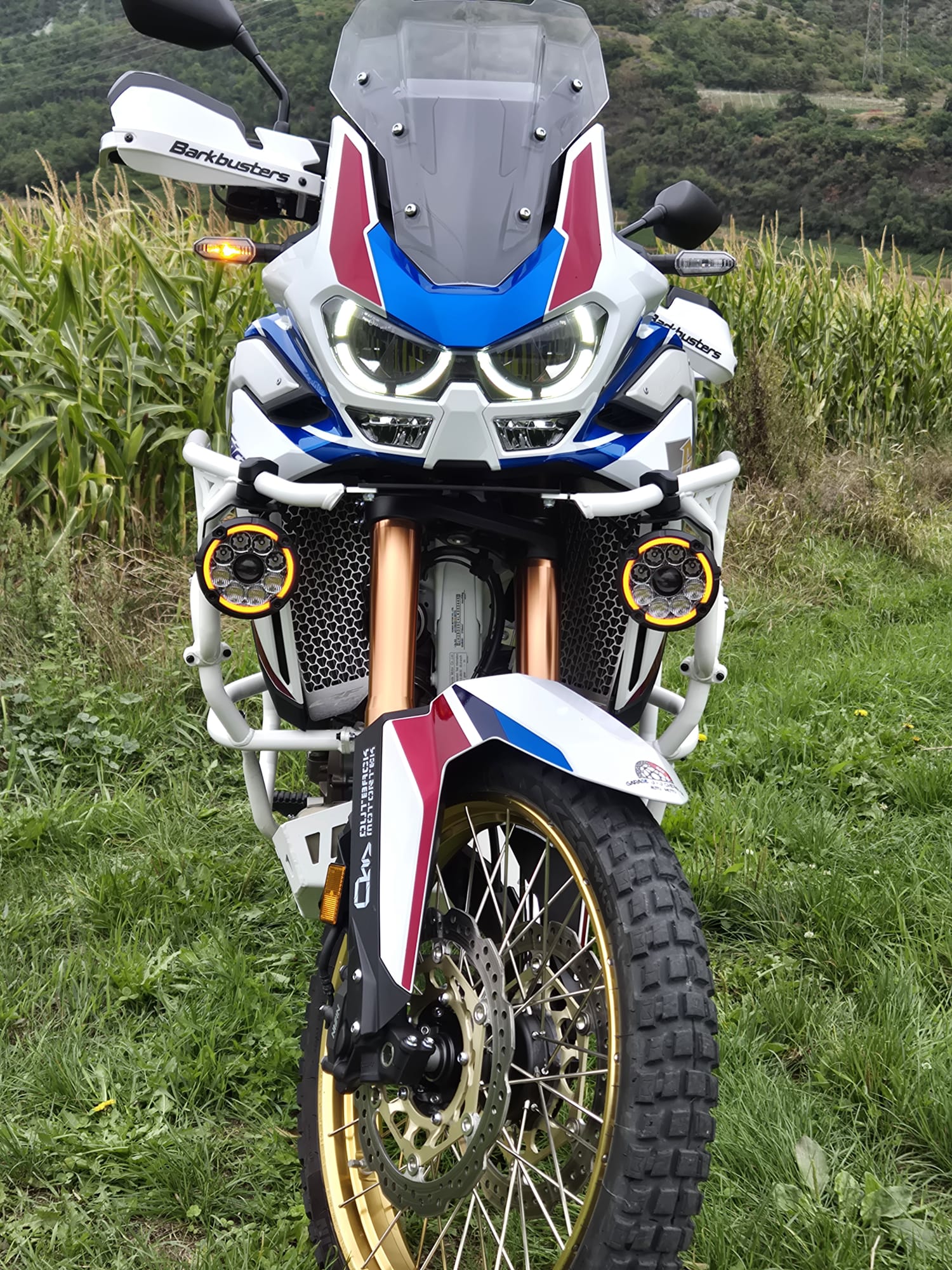 HONDA CRF 1100 AfriCa Twin Adventure-image-1