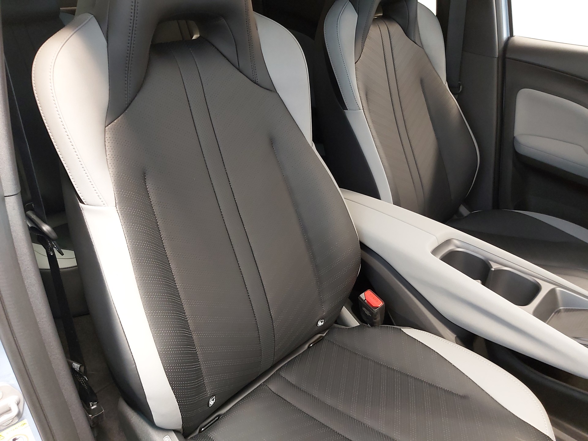 BYD Dolphin Surf Comfort-image-10