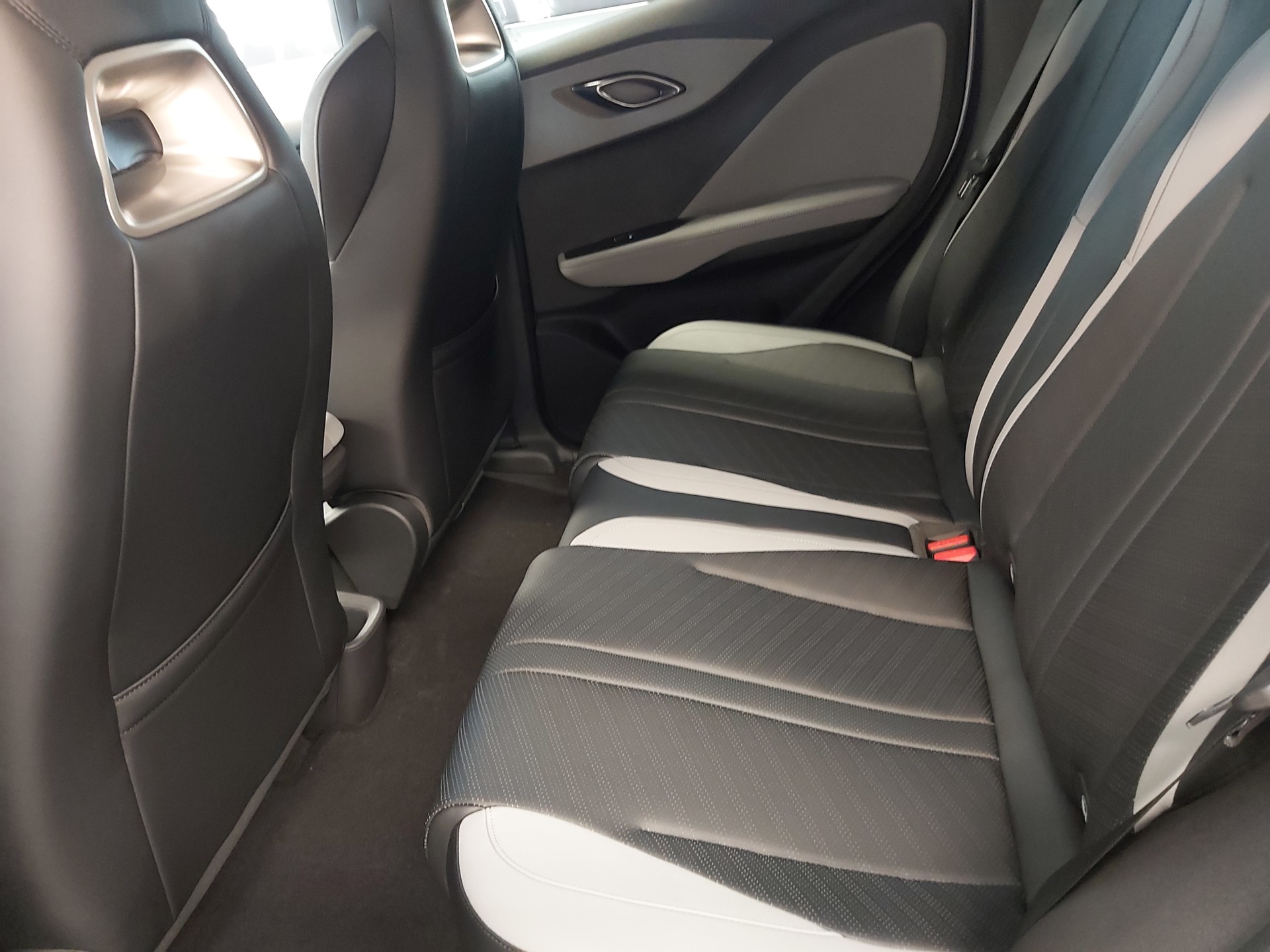 BYD Dolphin Surf Comfort-image-17
