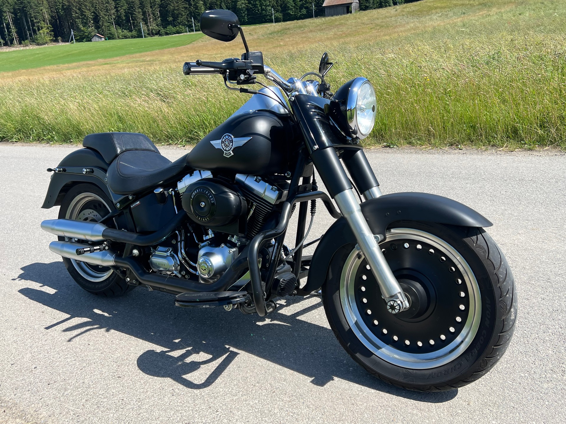 HARLEY-DAVIDSON FLSTFB Fat Boy Special-image-2