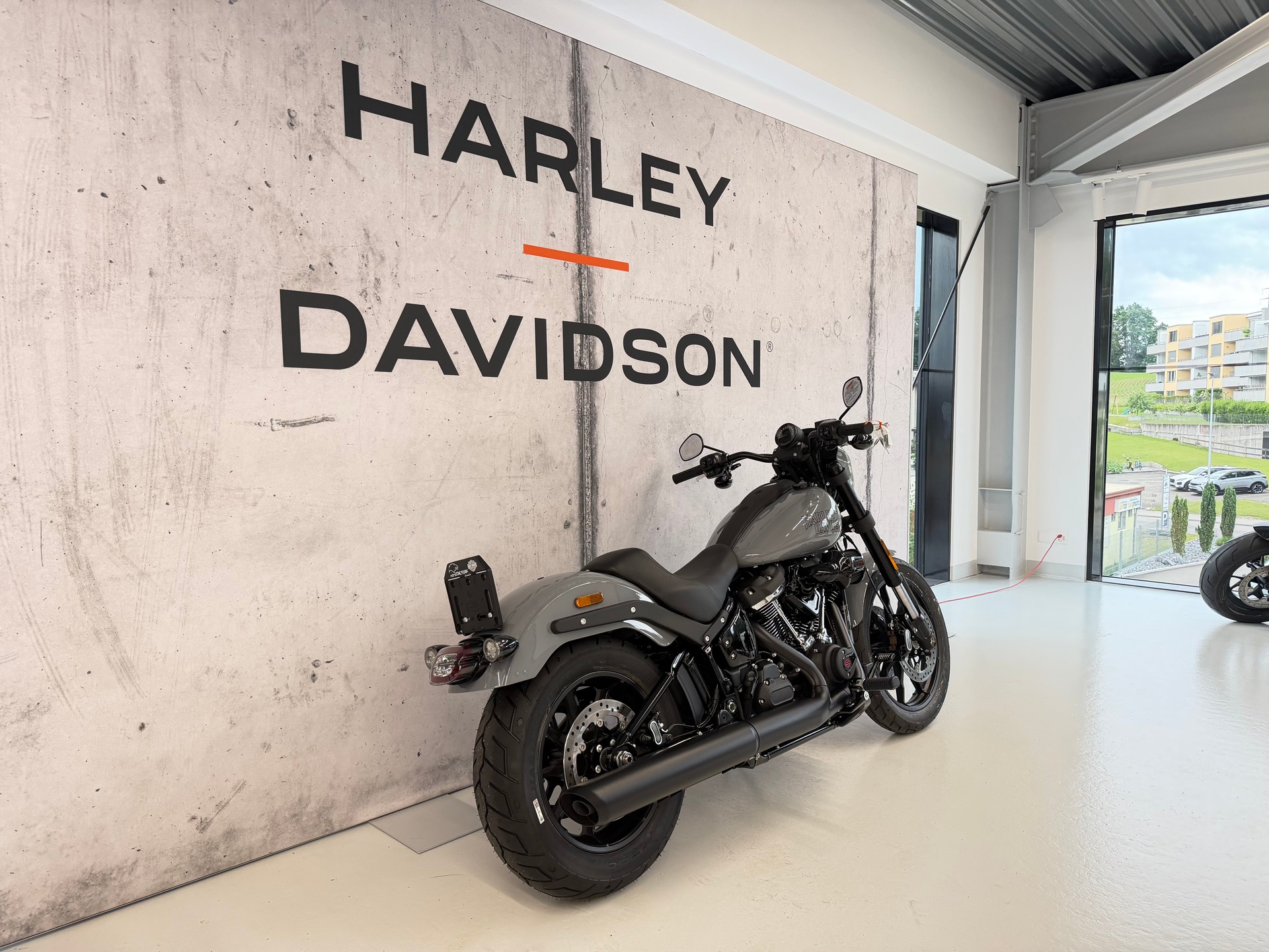 HARLEY-DAVIDSON FXLRS Low Rider S 117-image-2