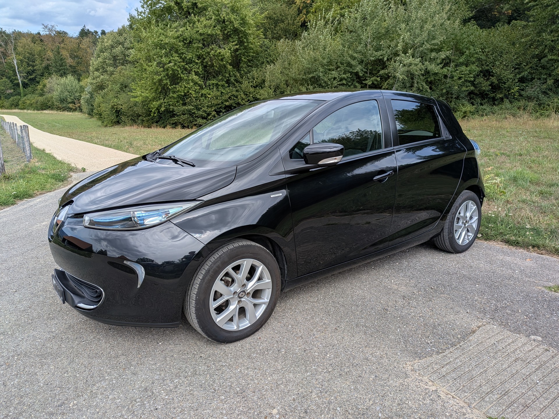 RENAULT R110 Limited mit neuem Motor und Batteriegesundheit 87%