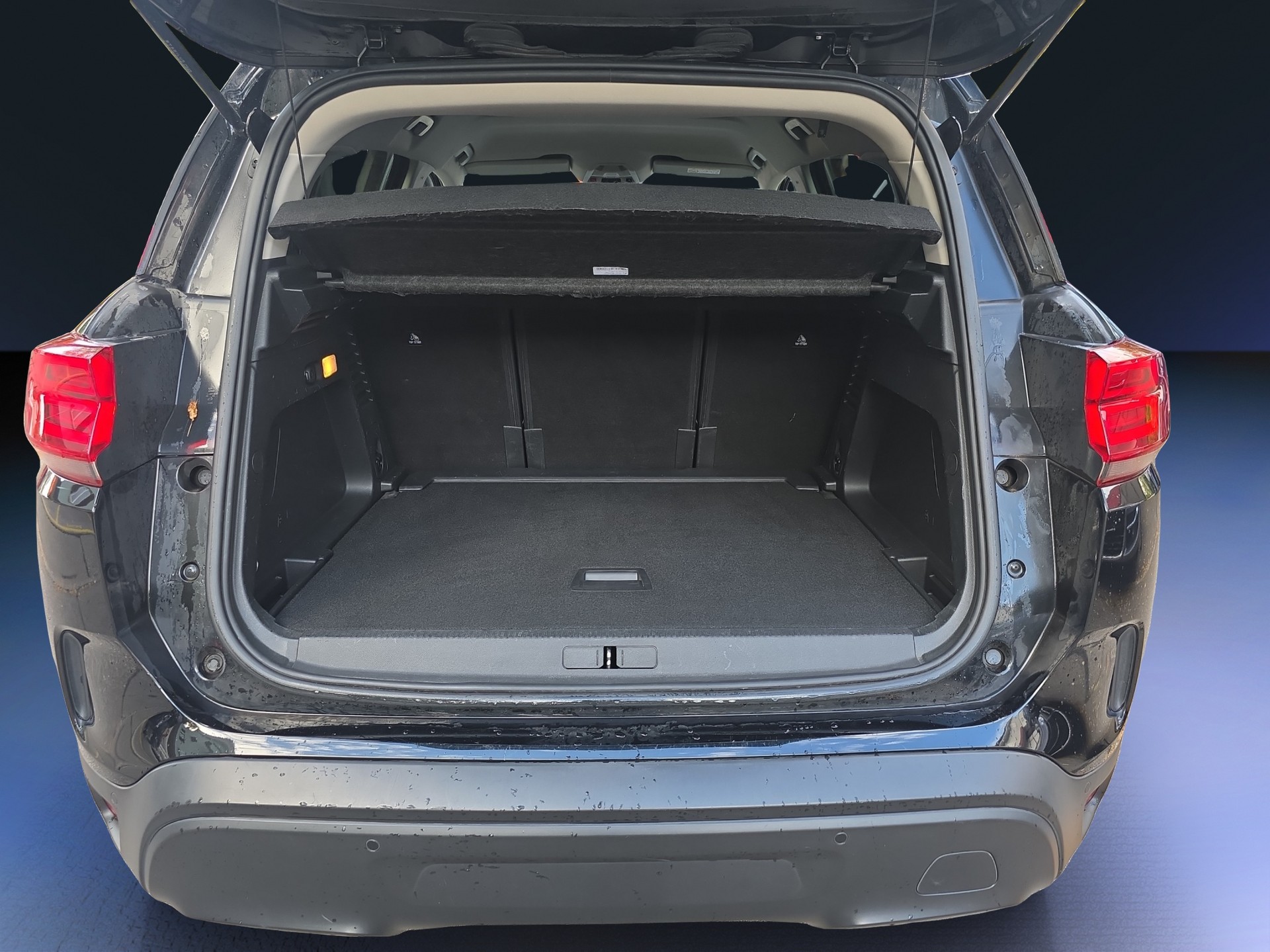 CITROEN C5 Aircross 1.6i PureTech Shine EAT8-image-15