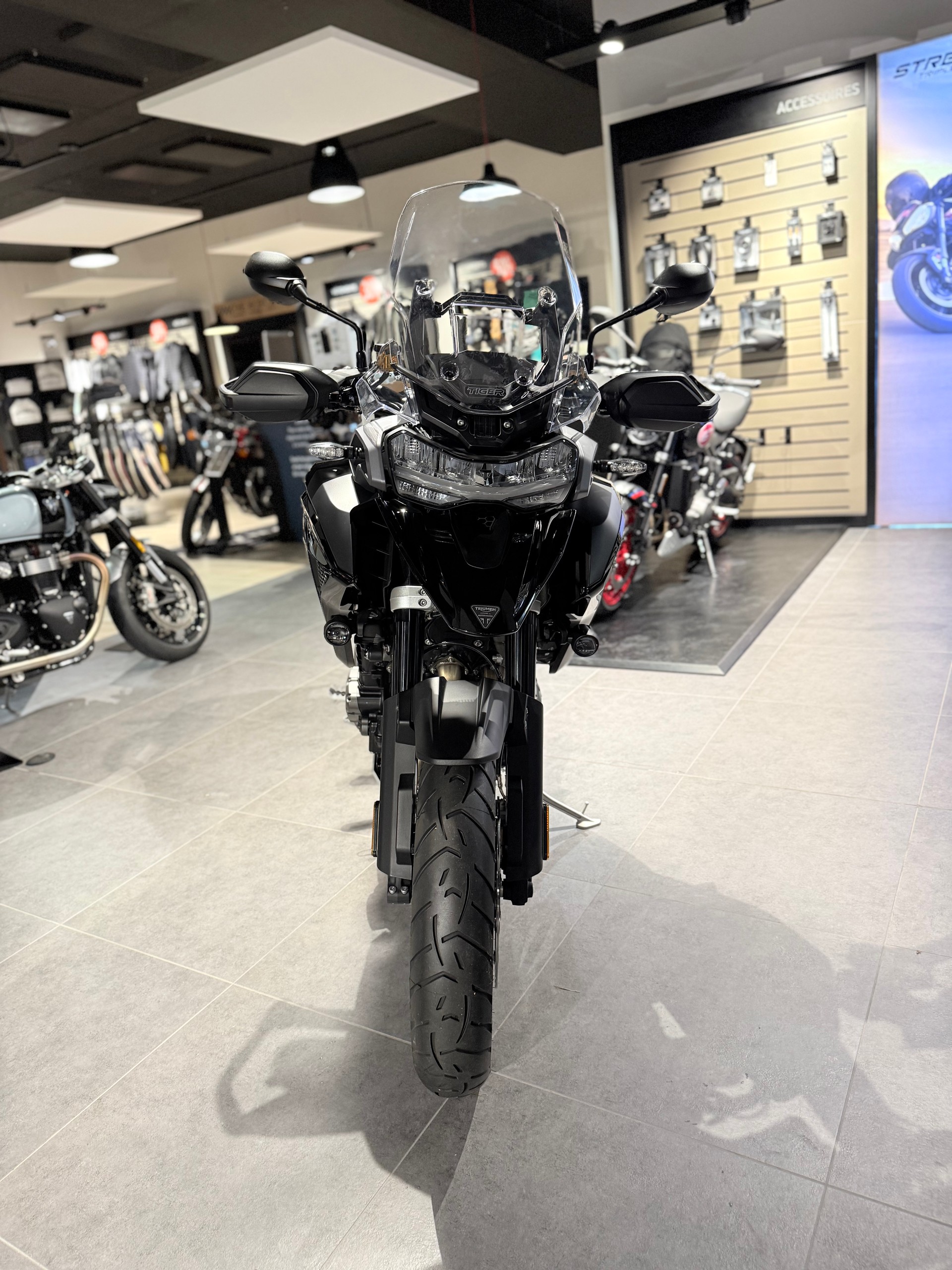 TRIUMPH Tiger 1200 GT Pro-image-1