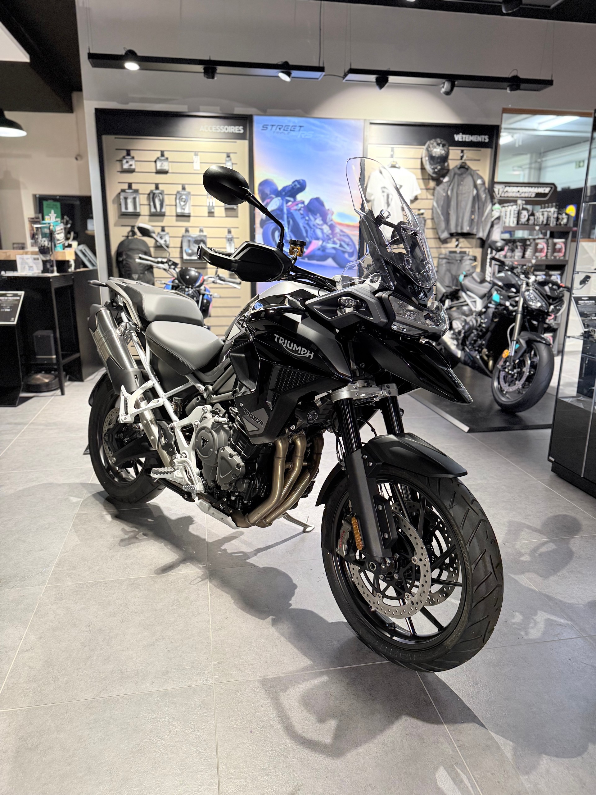 TRIUMPH Tiger 1200 GT Pro-image-2