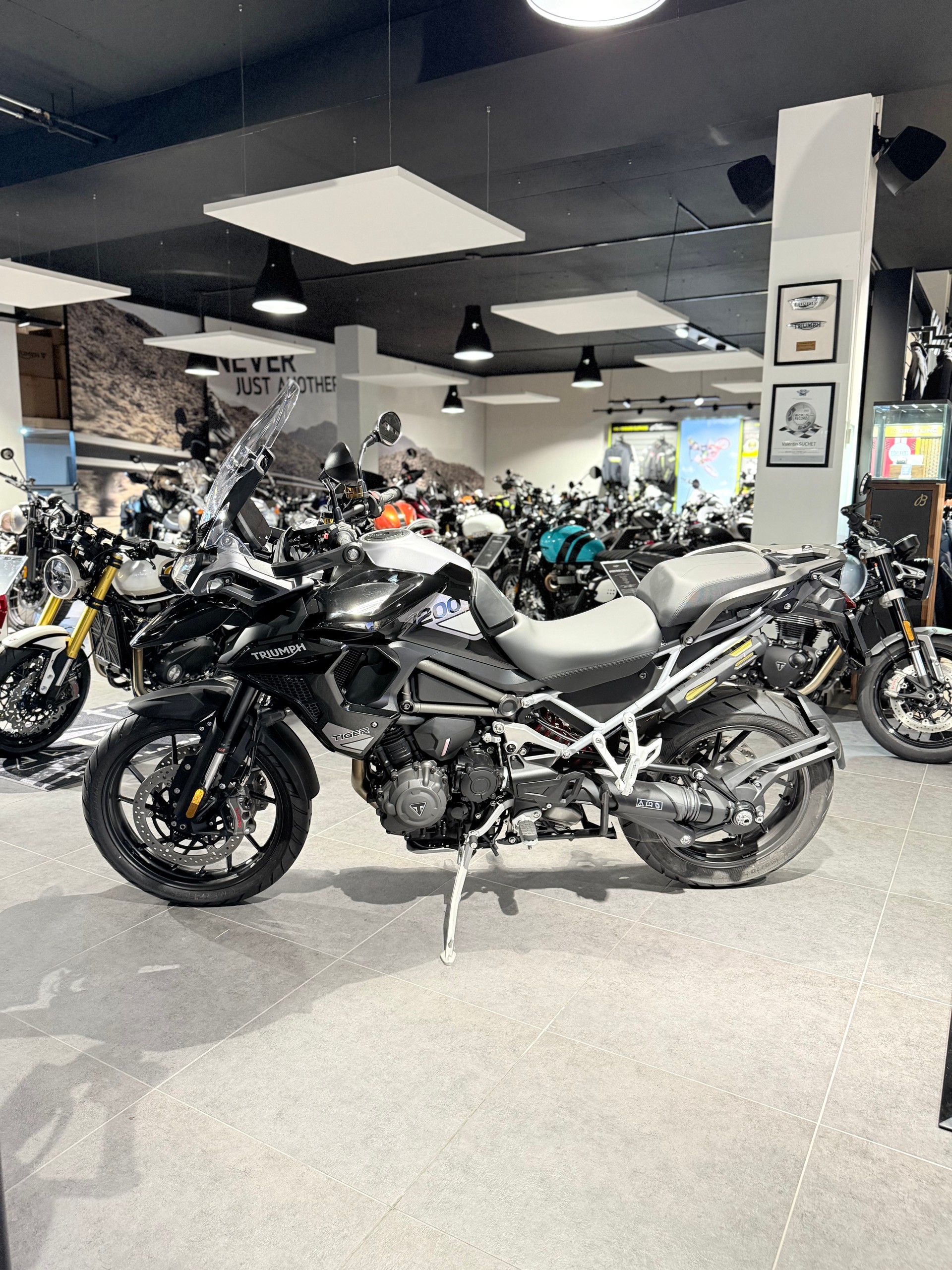 TRIUMPH Tiger 1200 GT Pro-image-0