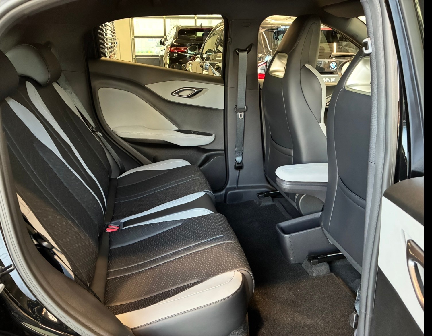 BYD Dolphin Surf Comfort-image-10
